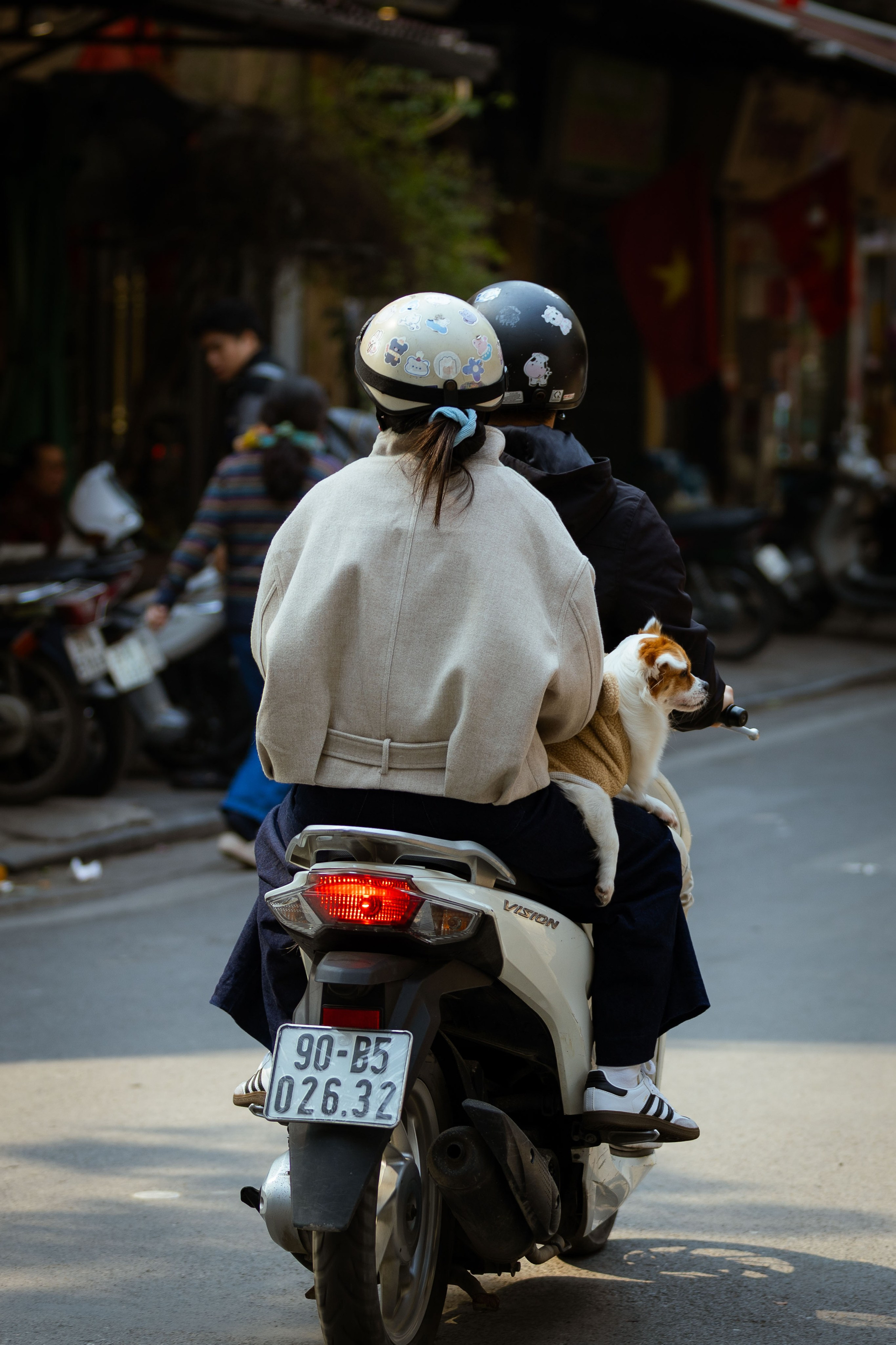 Вьетнам (зима 2025-2026). Фотограф Виноградов Константин