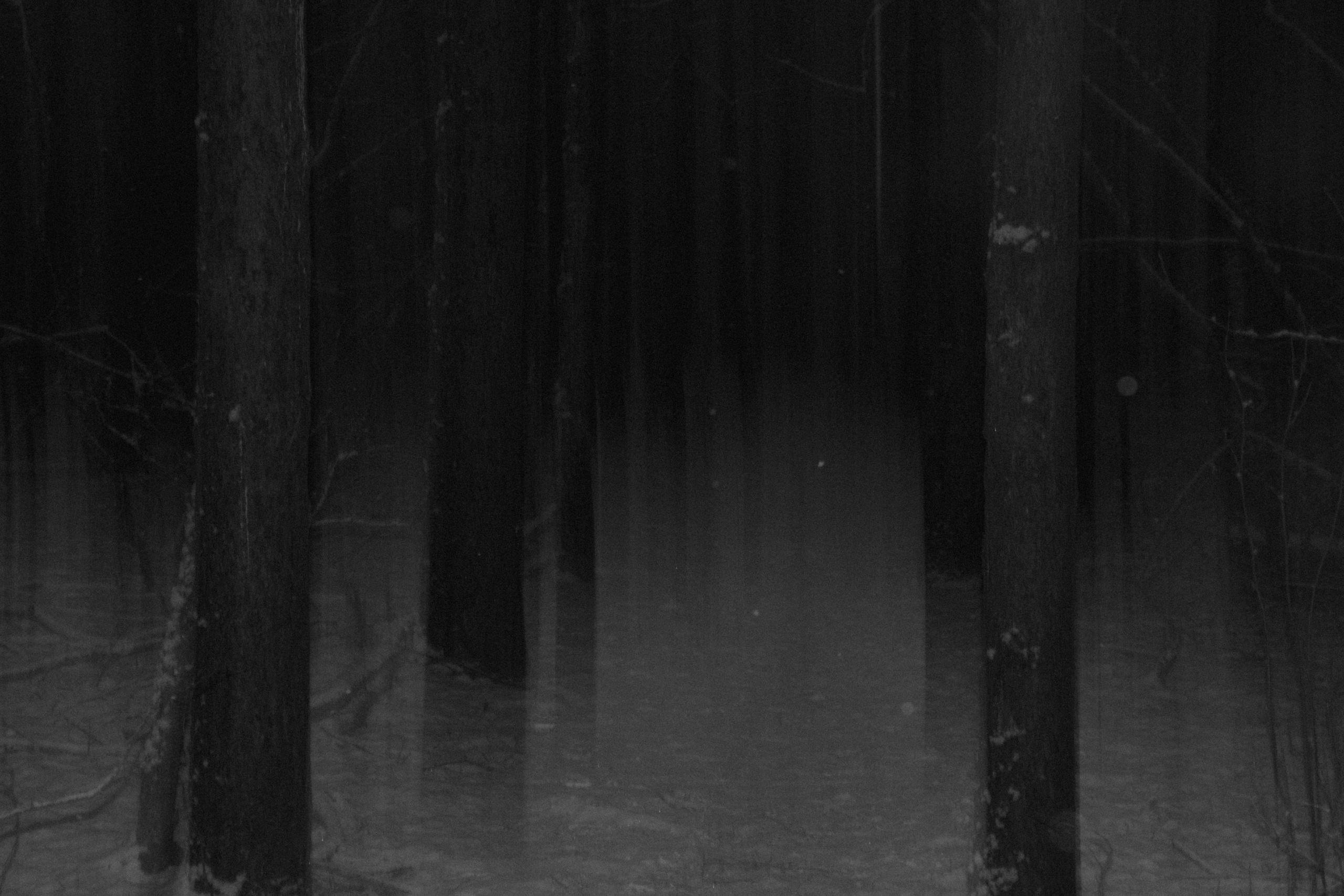 Интимный пейзаж. Олег Романов. Мастер фото по спорту