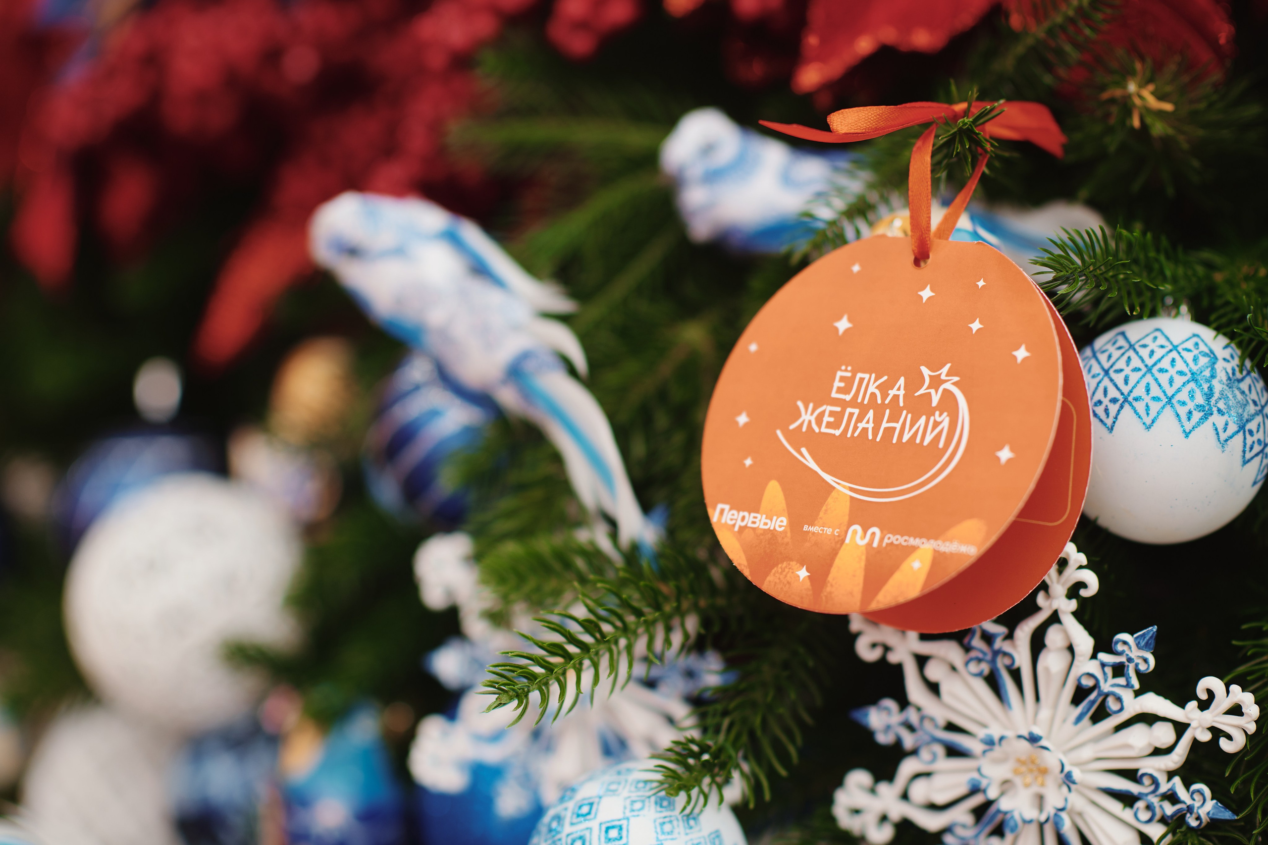 Премия Мы Вместе 2025. Репортажная съемка в Москве