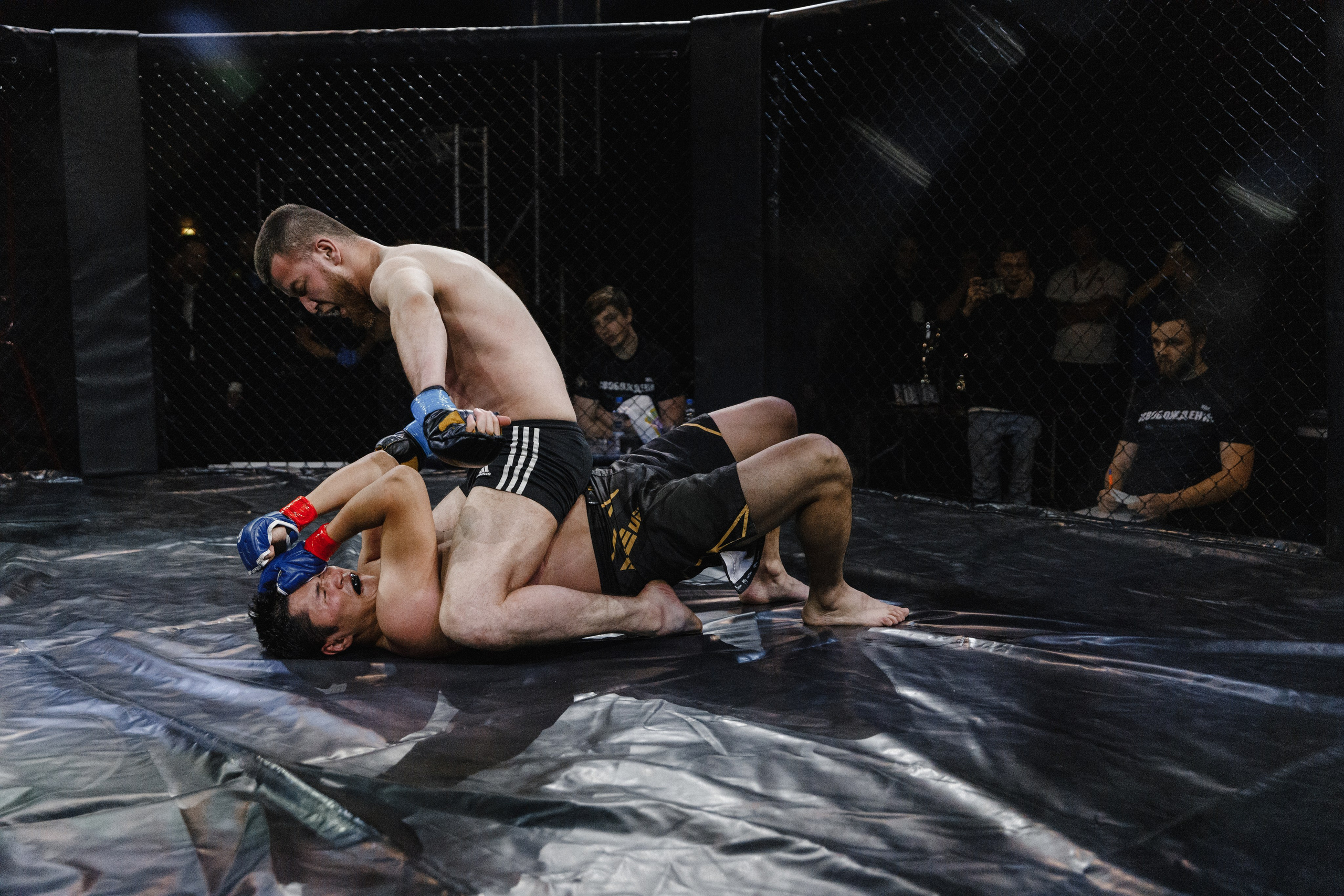 Турнир по ММА «Освобождение» 2023 г. Истра. Свадебный фотограф Фадеева Алёна