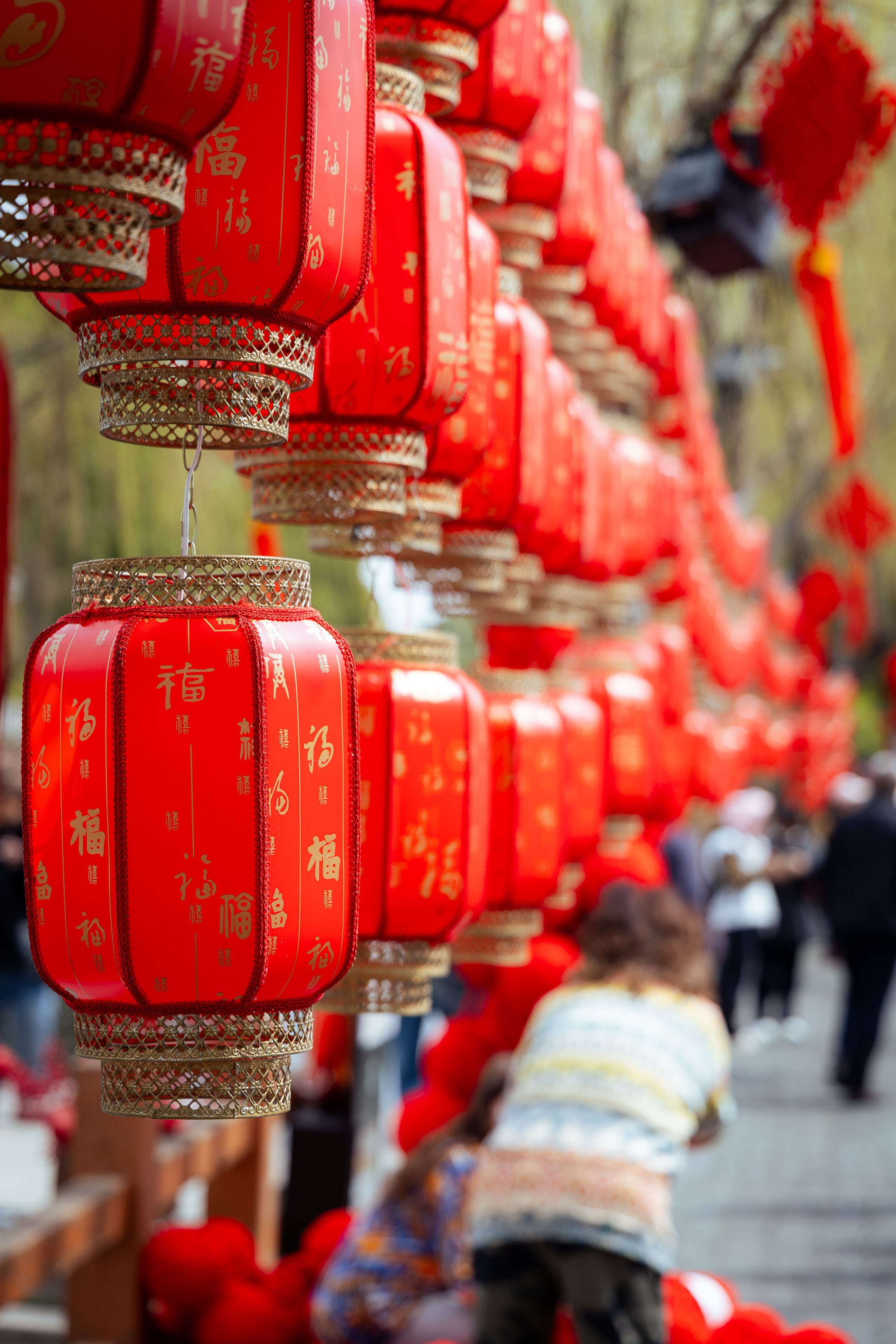 Шанхай (март 2026). Фотограф Виноградов Константин