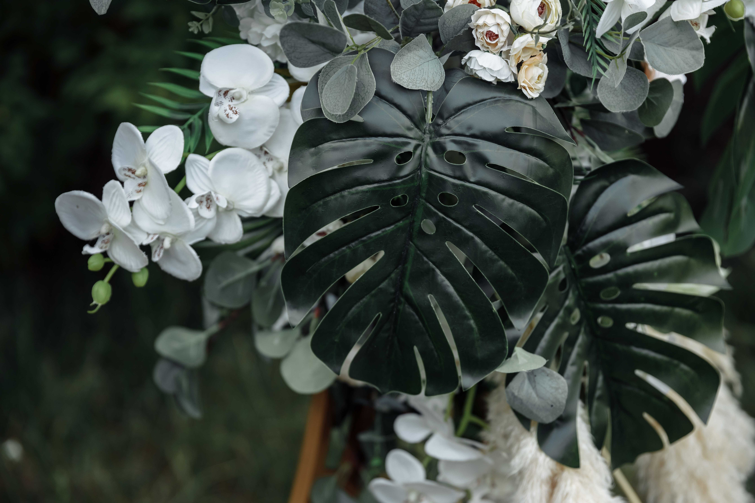 Альберт и Рената Казань 11.06.2021. Свадебный фотограф Казань Чебоксары Москва