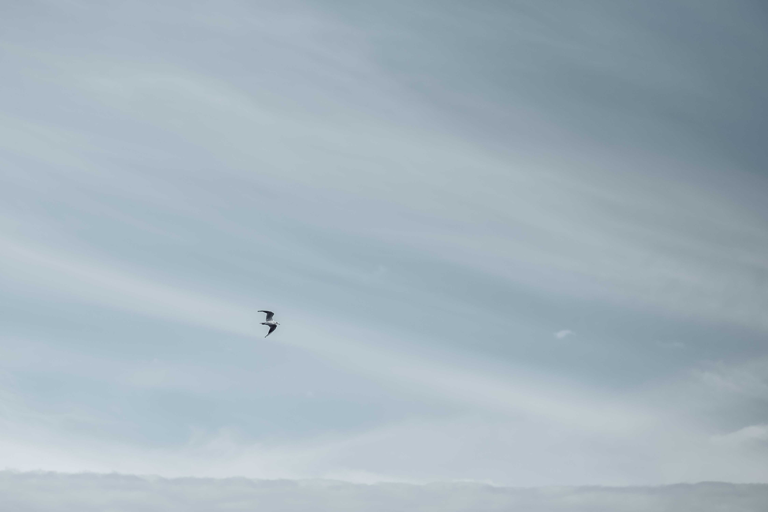 Шамиль и Рита свадьба на 4 часа Казань. Свадебный фотограф Казань Чебоксары Москва