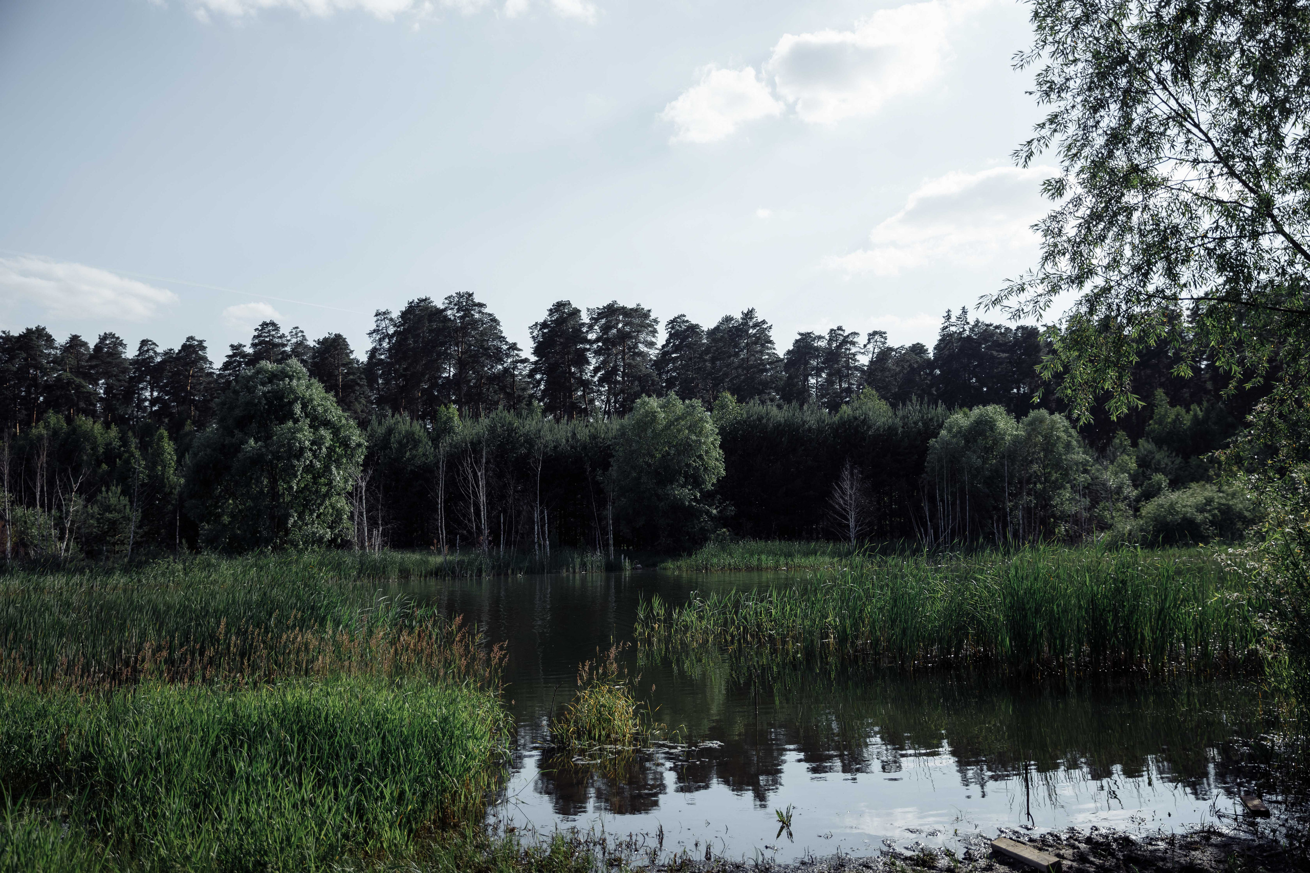 Альберт и Рената Казань 11.06.2021. Свадебный фотограф Казань Чебоксары Москва