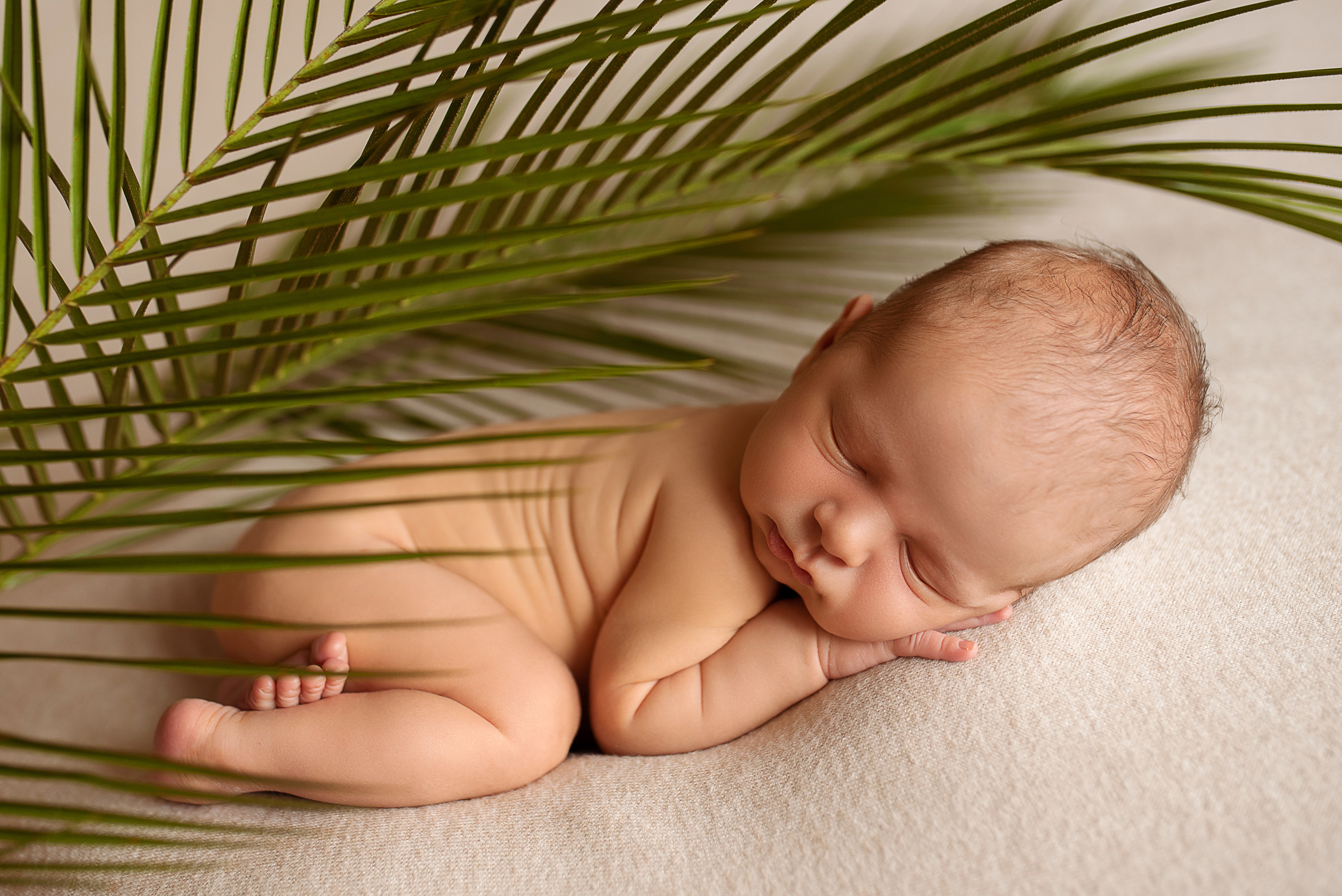 Новорожденные мальчики. Фотограф новорожденных и детей до года в Челябинске Иванова Елена