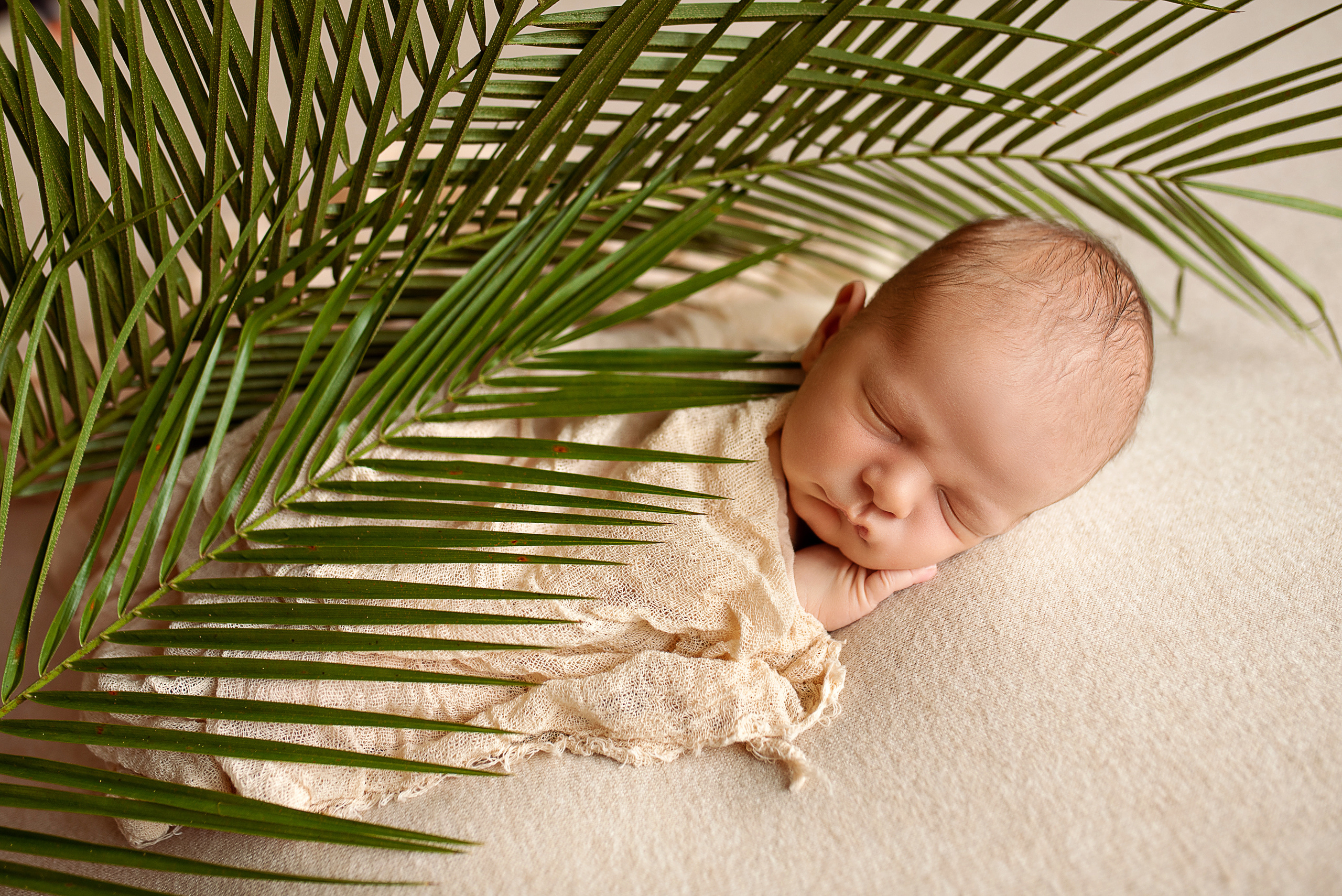 Новорожденные мальчики. Фотограф новорожденных и детей до года в Челябинске Иванова Елена