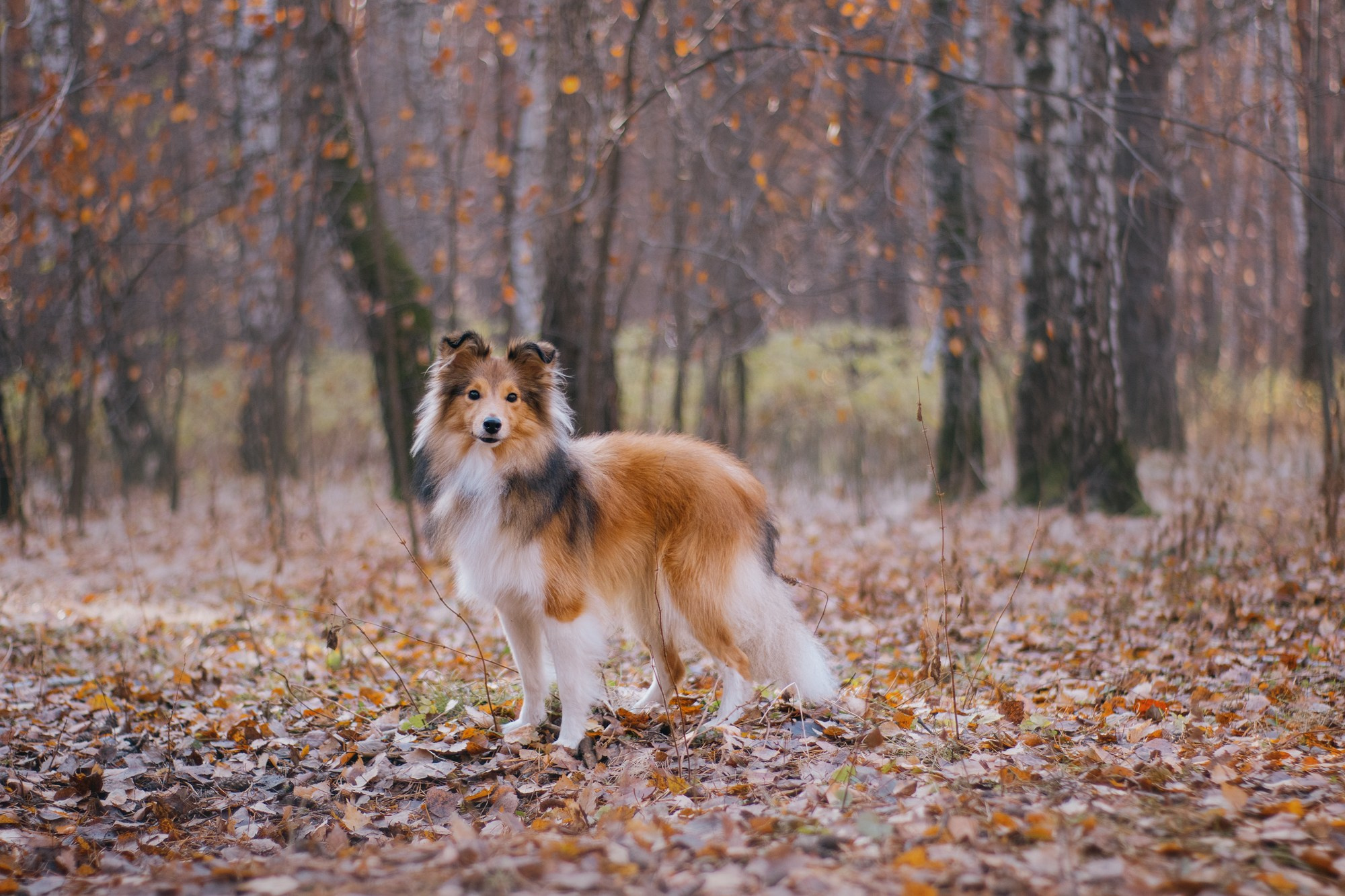 Анна и Габи. Фотограф в Тюмени Лизавета Сапицкая