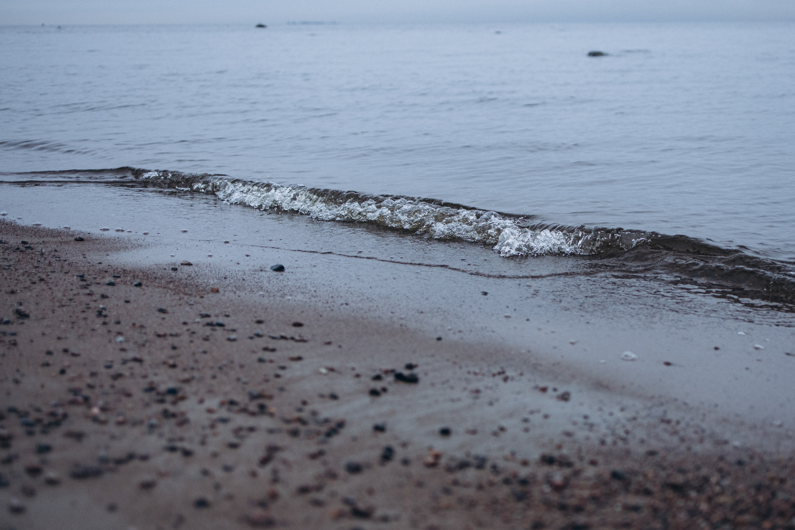 Весь мир любовь. Семейный фотограф в Санкт-Петербурге Лена Соколова