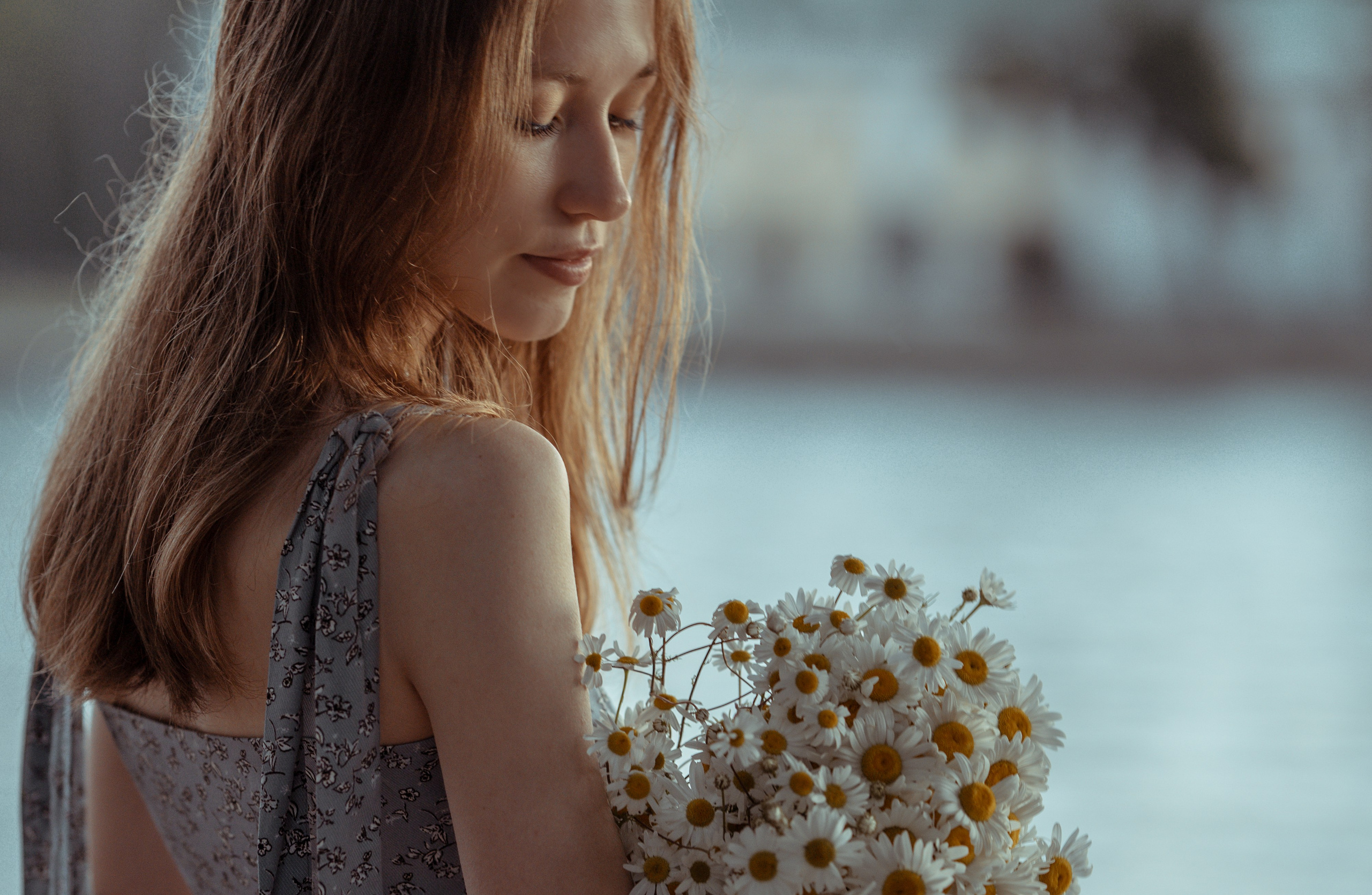 #Белые ночи. Рассвет в Лопухинском саду. Главная