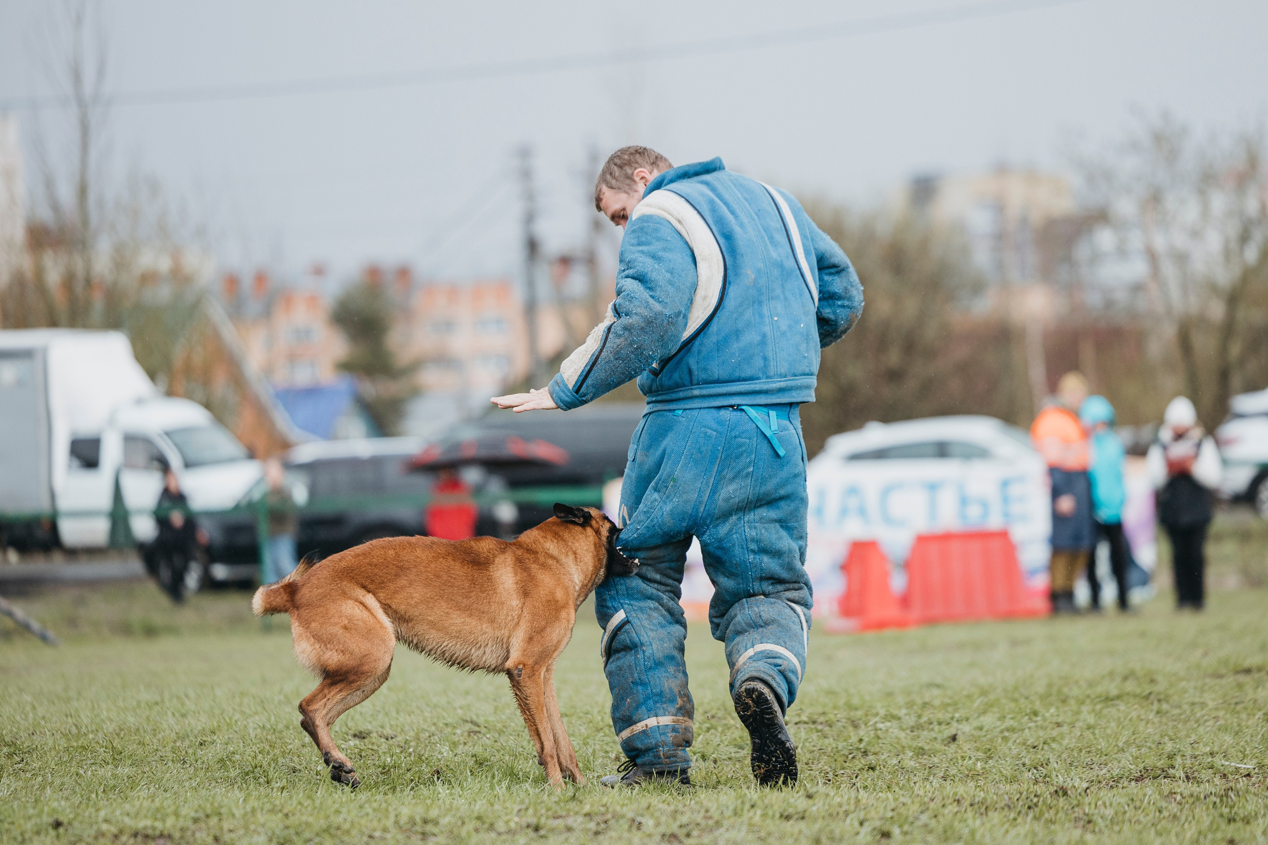 09.05.25 Вологда соревнования. Фотограф-анималист Анна Маринич
