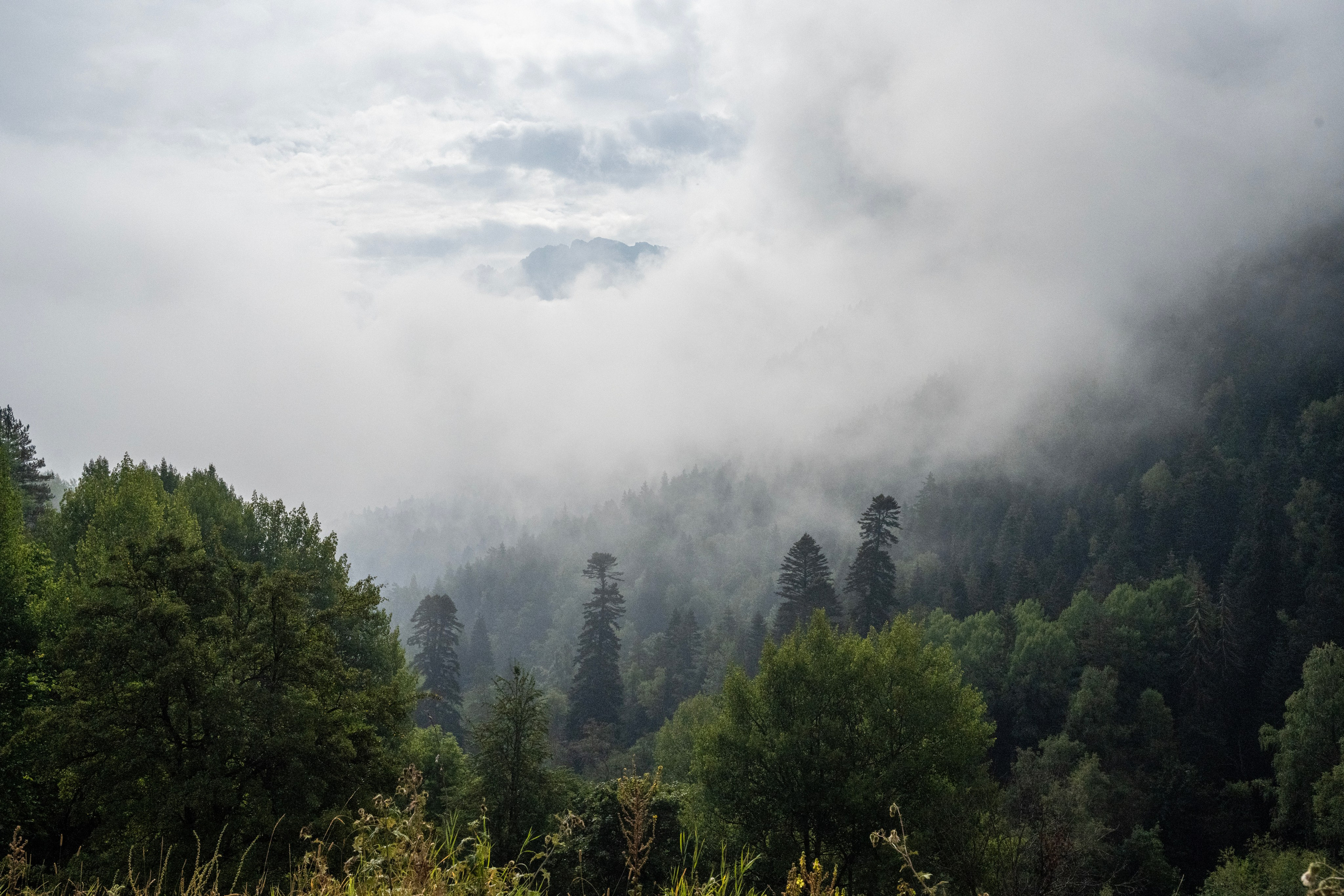 Кавказ. Путешествие в Фотографии
