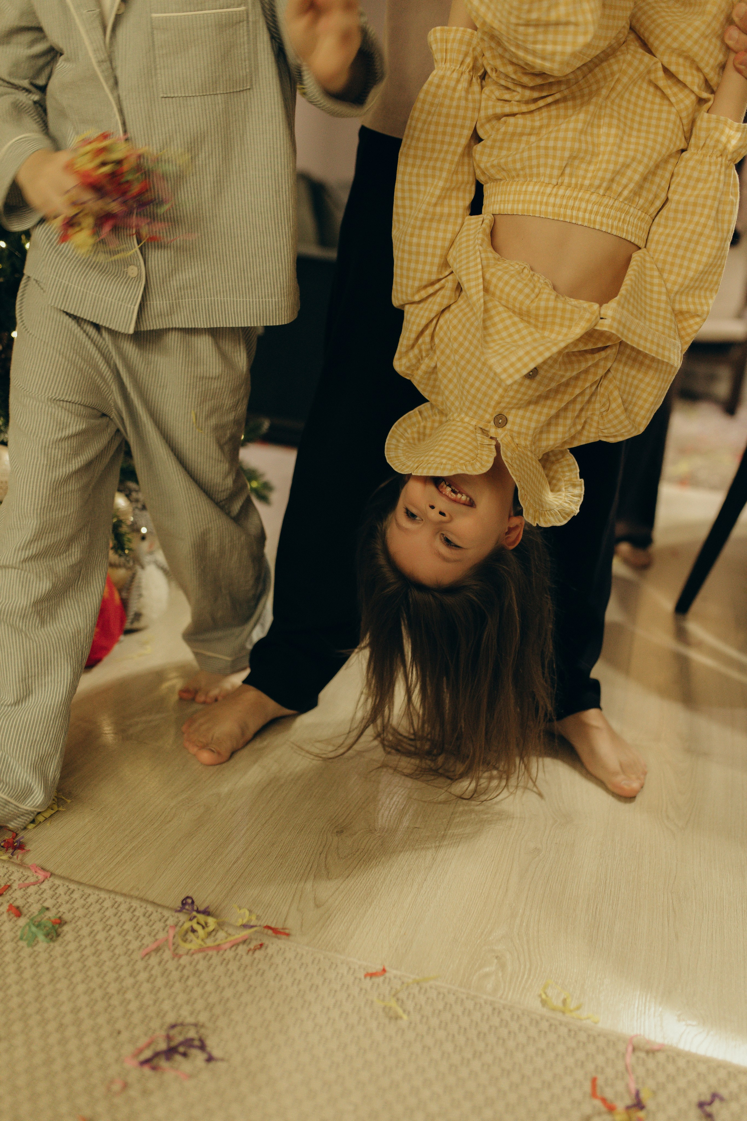 Домашняя история. Meryfotoidea