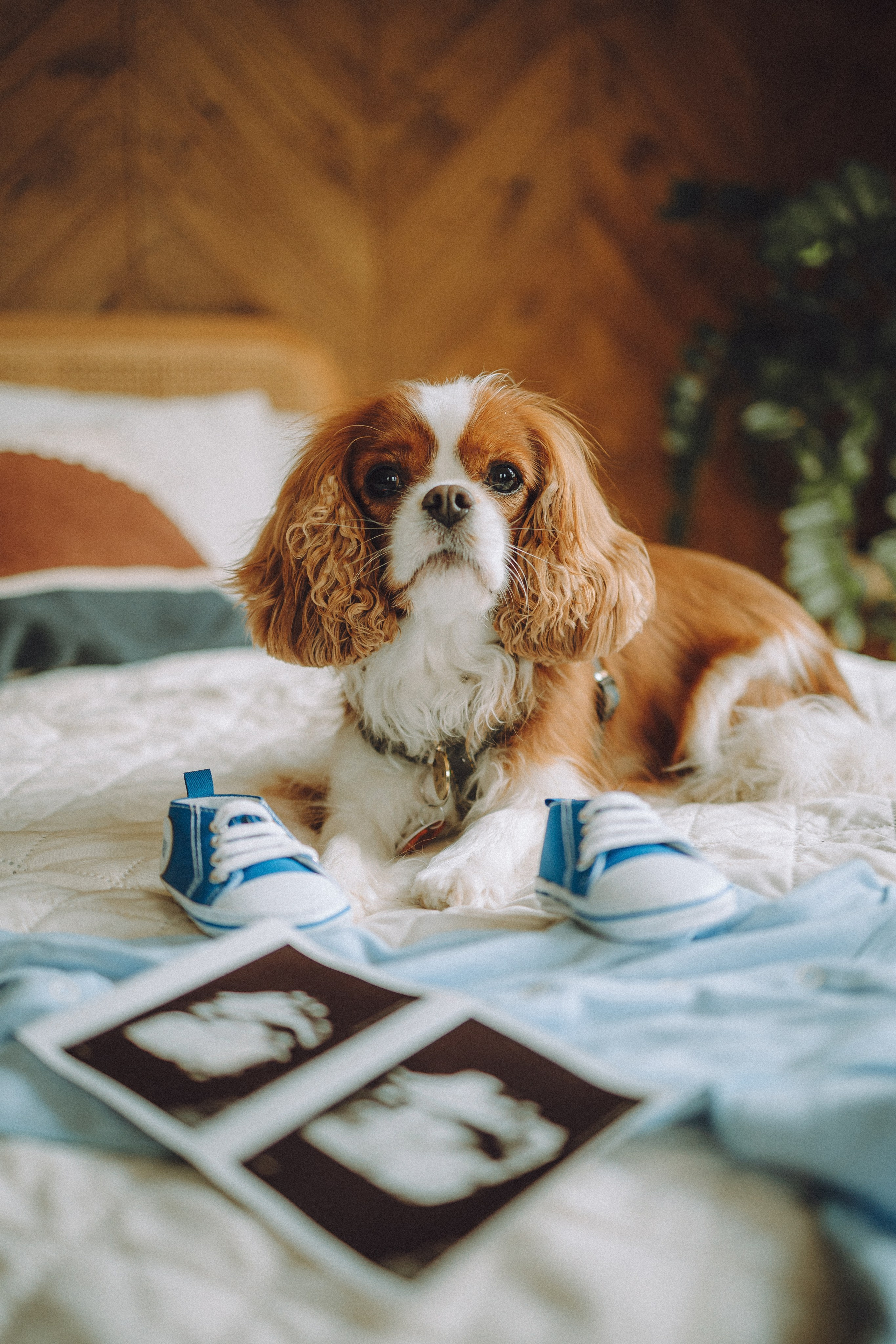 Валя, Вася, Аня и Ириска