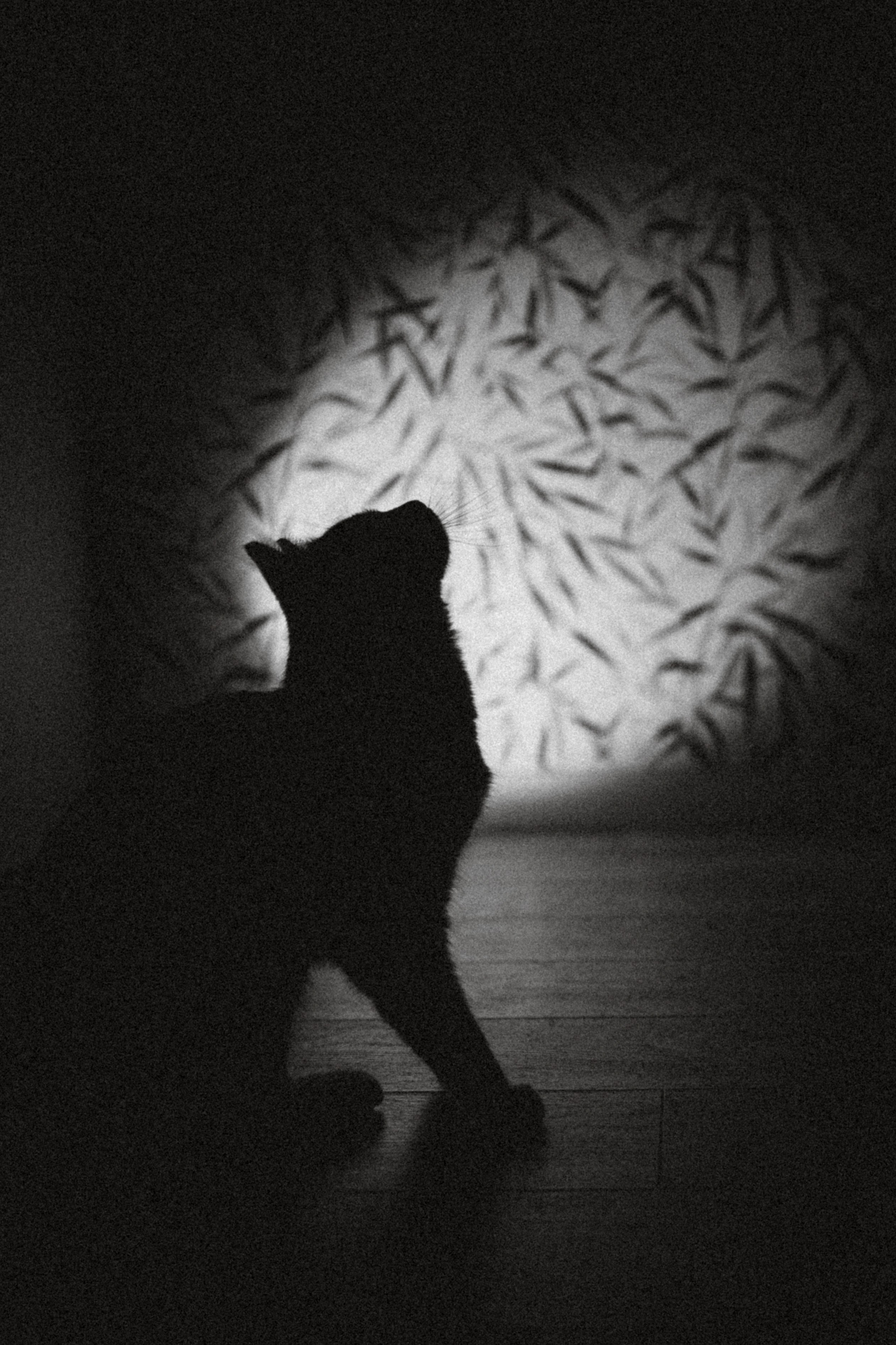 Рыся, Кепа и их семья