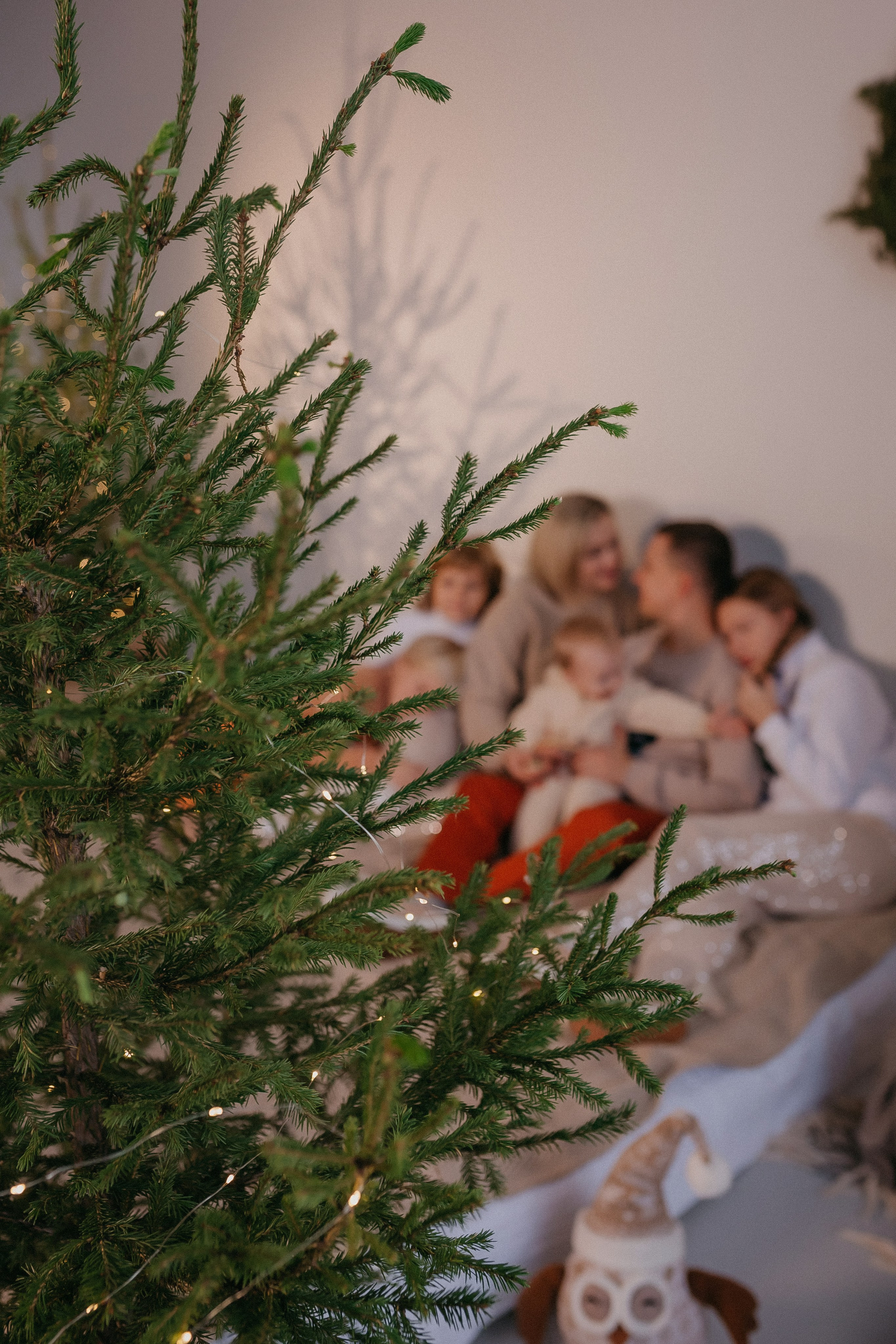 Женя и Лёша +4 Новогодняя. Семейный фотограф в Сургуте