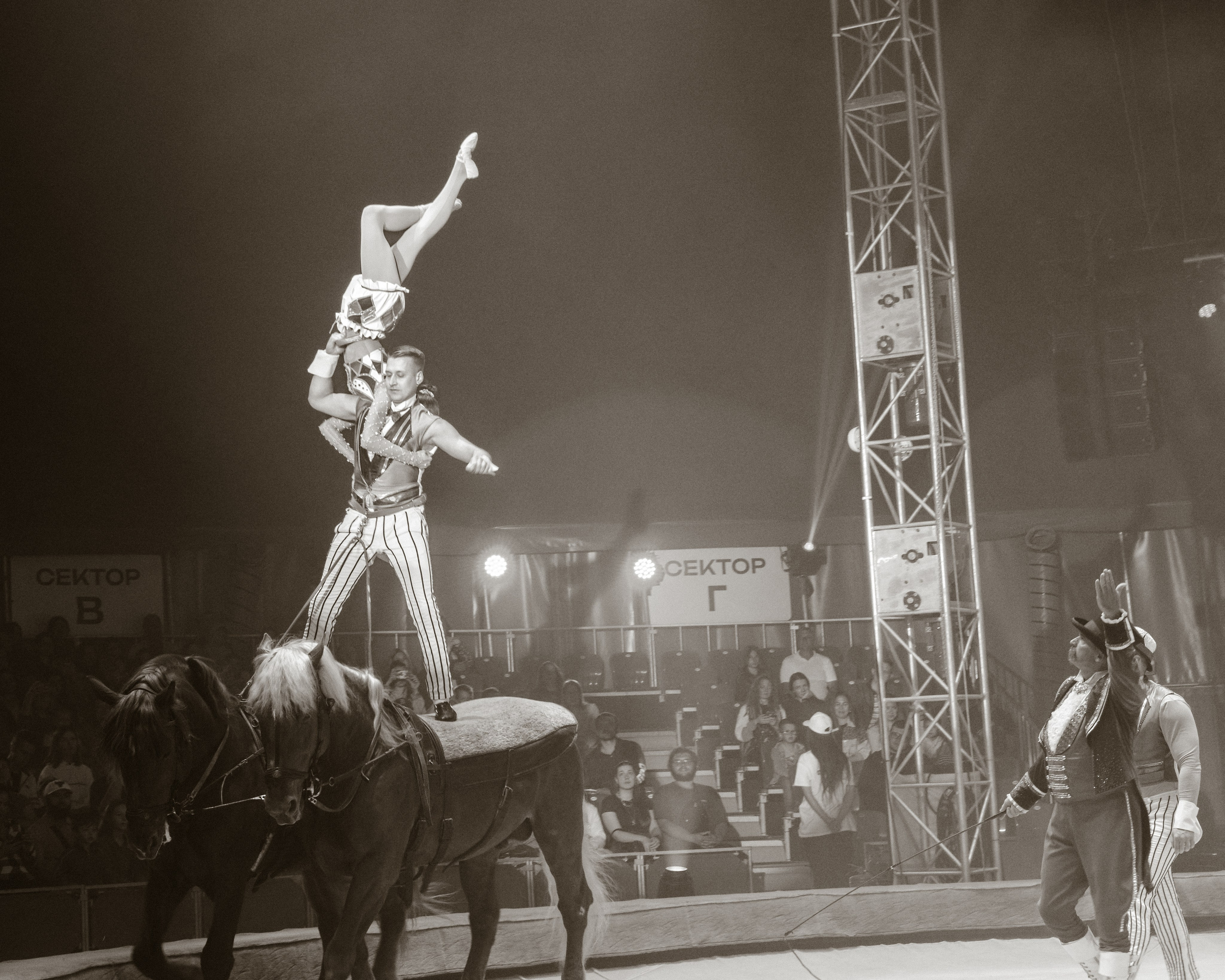 Circus. Фотограф в Москве Шалышко Ангелина