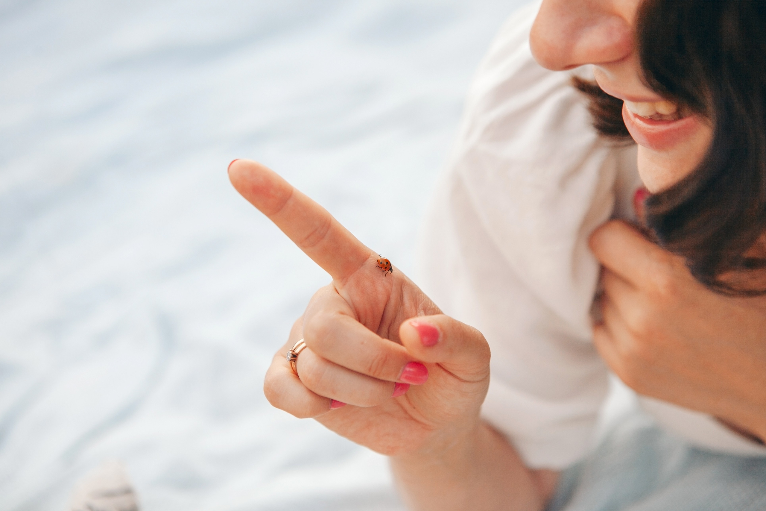 Семейная фотосессия в поле на закате. Фотограф Ольга Ефремова