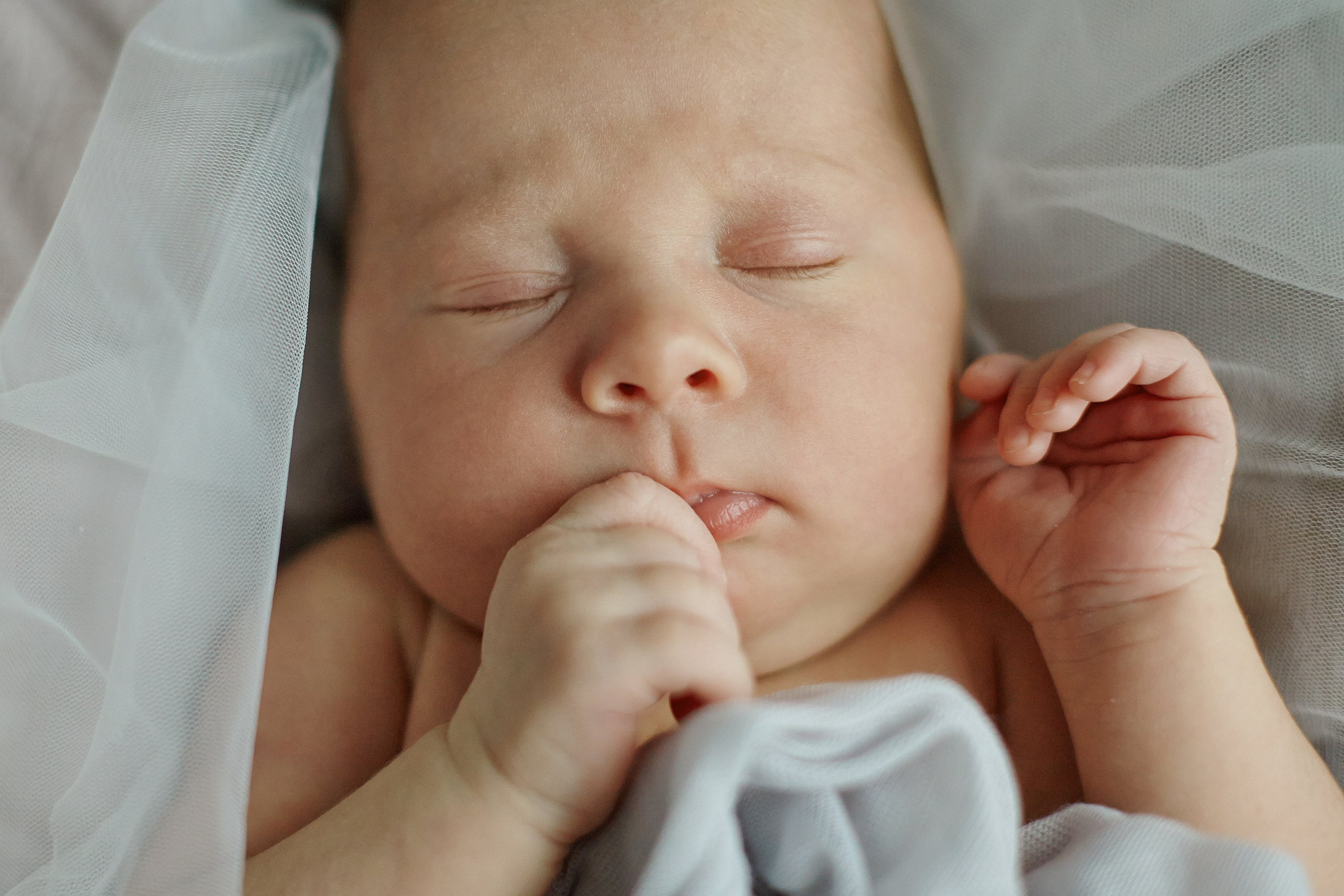 Есения. Фотограф Ольга Ефремова