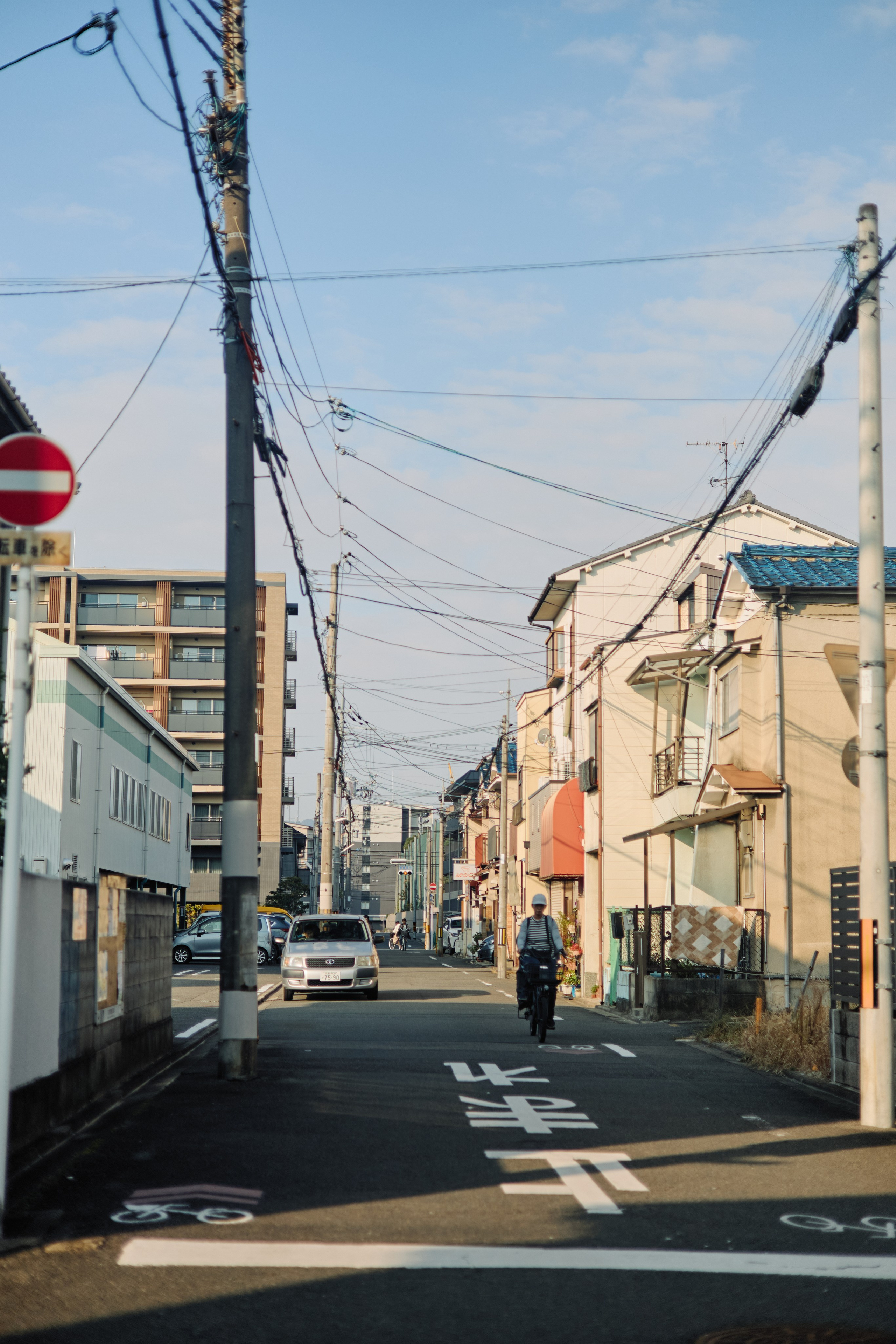 Япония. Профессиональный Фотограф во Владимире, в Москве и в Суздале — Полина Романычева