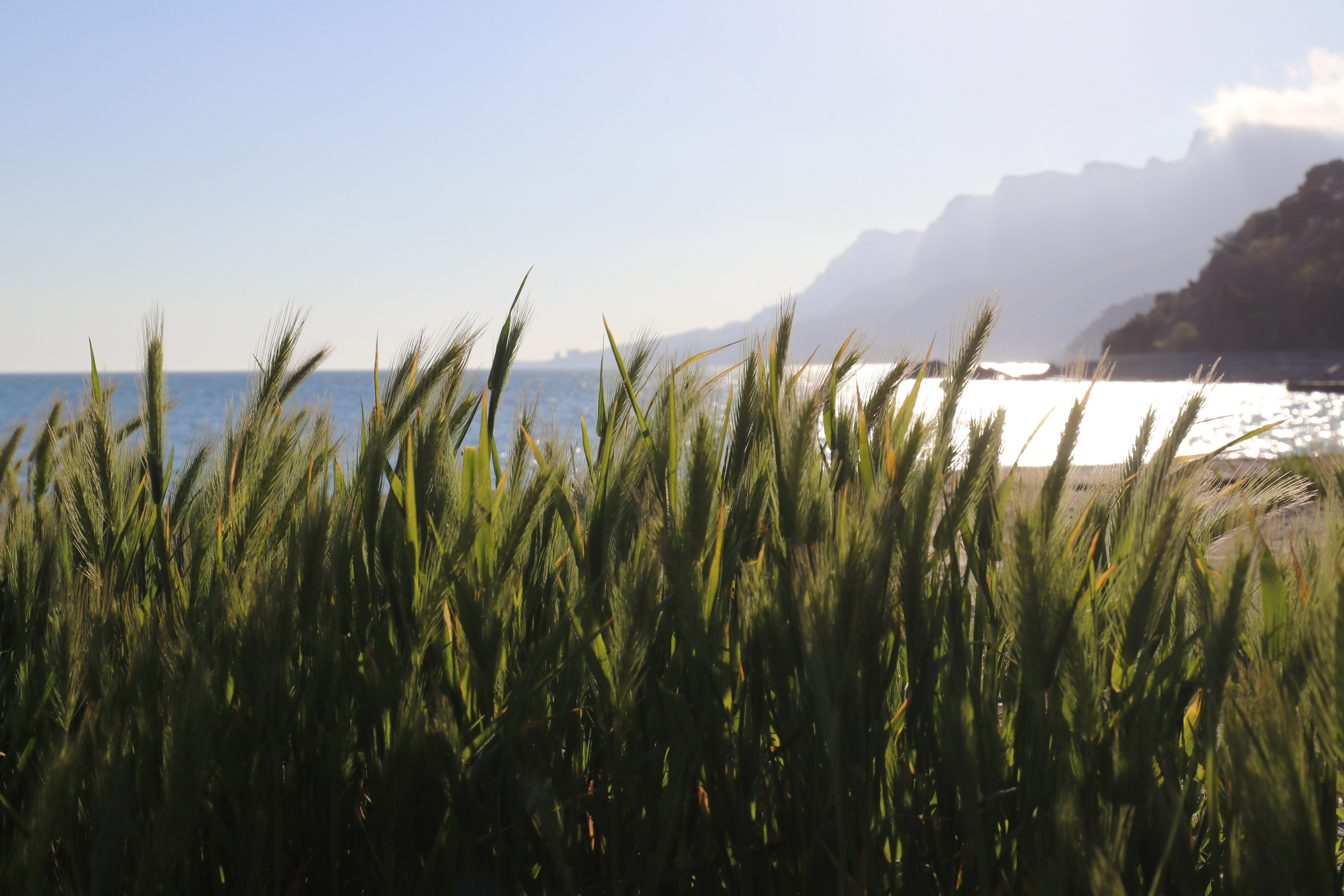 Крым. ЮБК (Бахчисарай, Кастрополь, Таракташская тропа). Май 2021. Путешественник-фотограф из Санкт-Петербурга Татьяна Свистулина