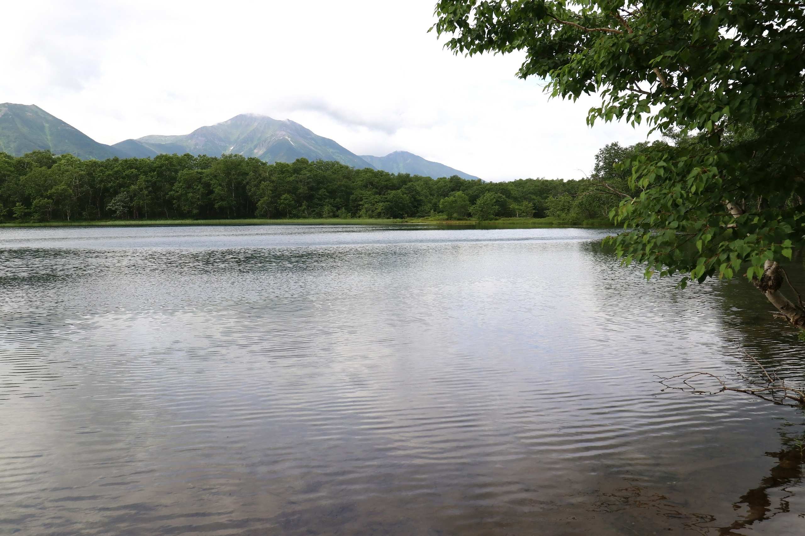 Камчатка и о. Парамушир. Июль 2024. Путешественник-фотограф из Санкт-Петербурга Татьяна Свистулина