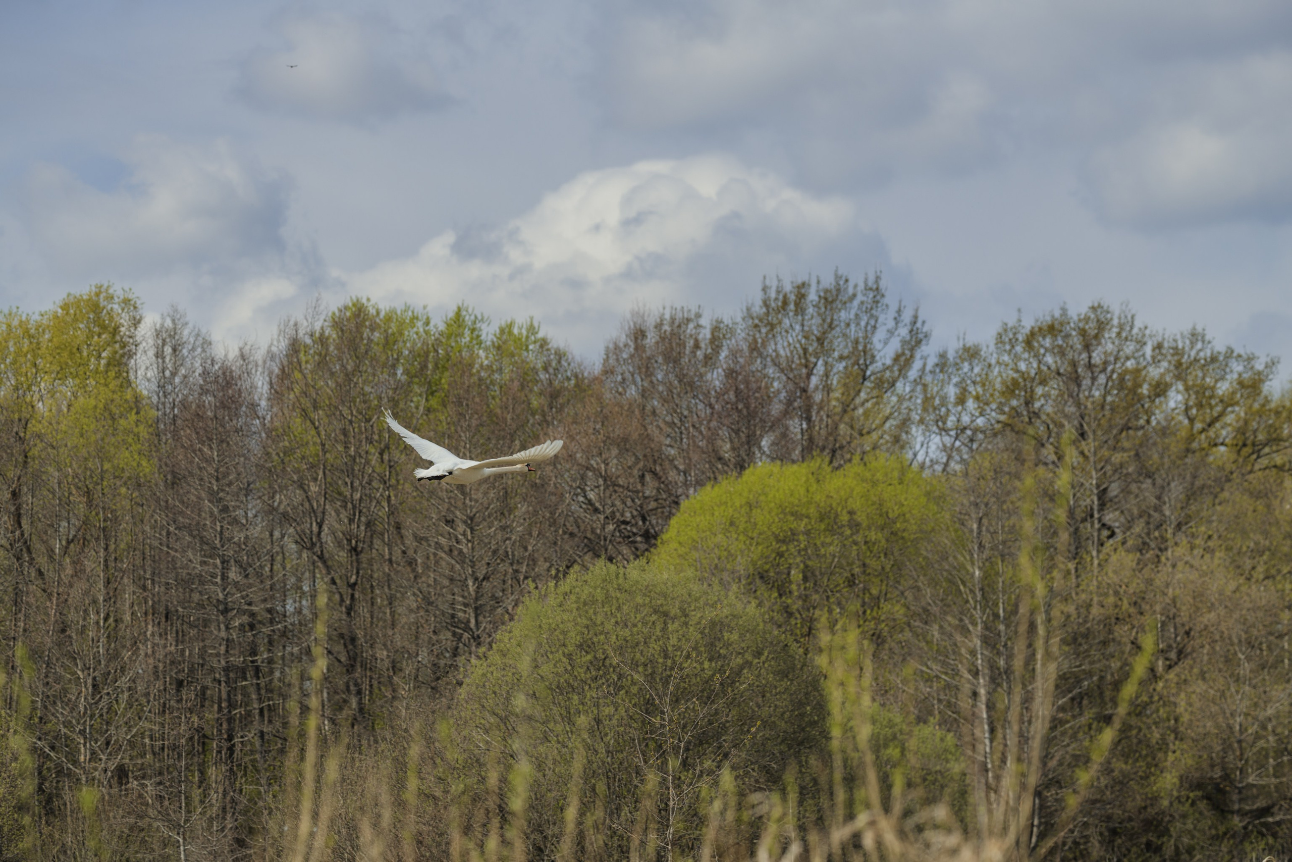 Водный поход 1-й кс по реке Случь. Репортажный фотограф Владимир Беляй