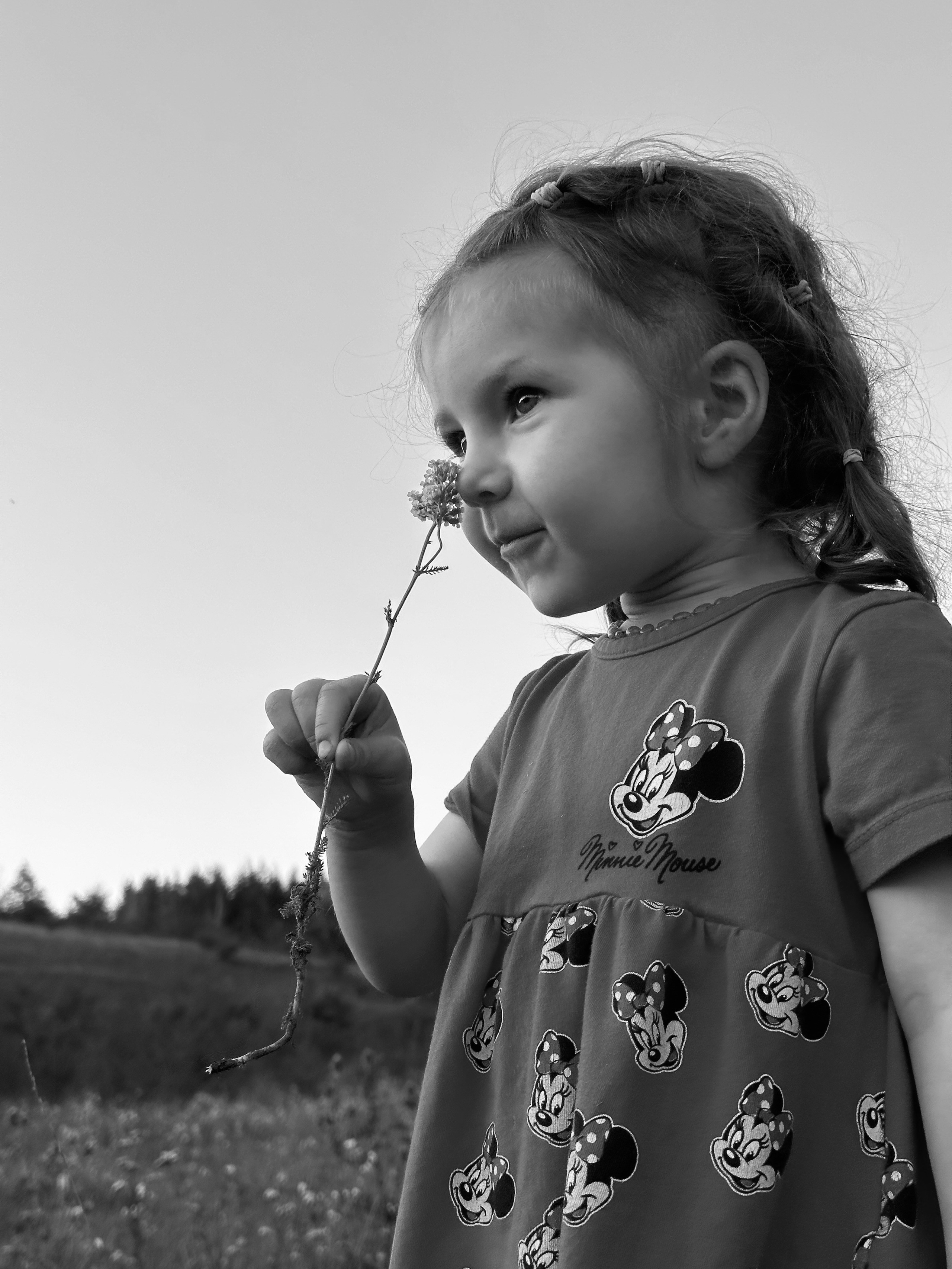 Дети. Смотри, красота!