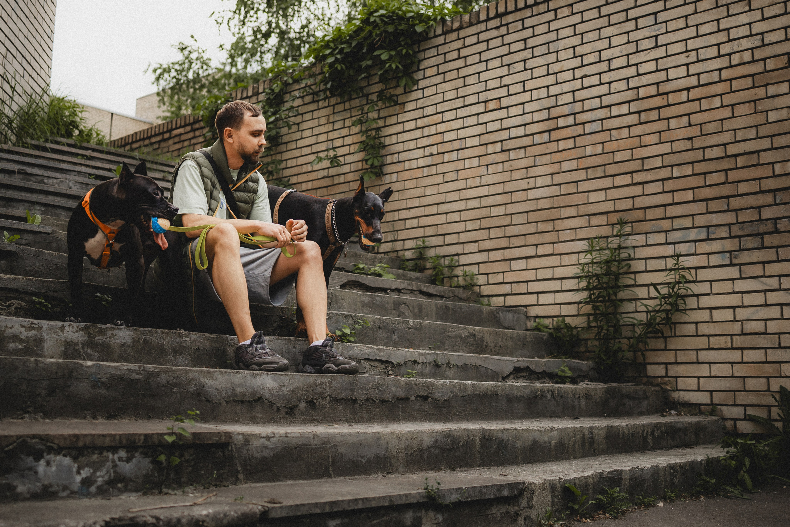 Паша, Хайди и Тея