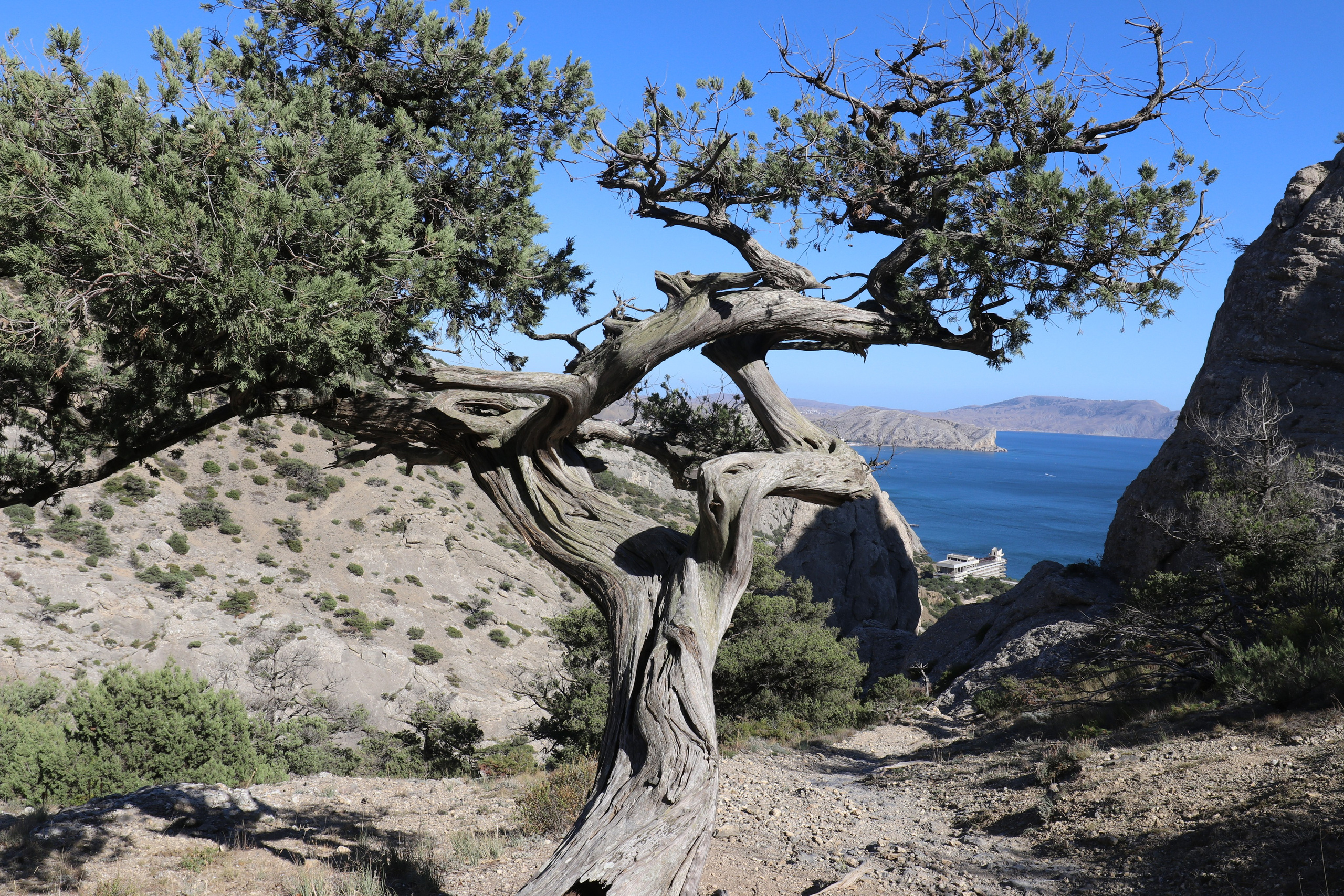 Крым. ЮБК (Судак, Карадаг, гора Клементьева, Меганом, Ильяс-Кая). Сентябрь 2020. Путешественник-фотограф из Санкт-Петербурга Татьяна Свистулина