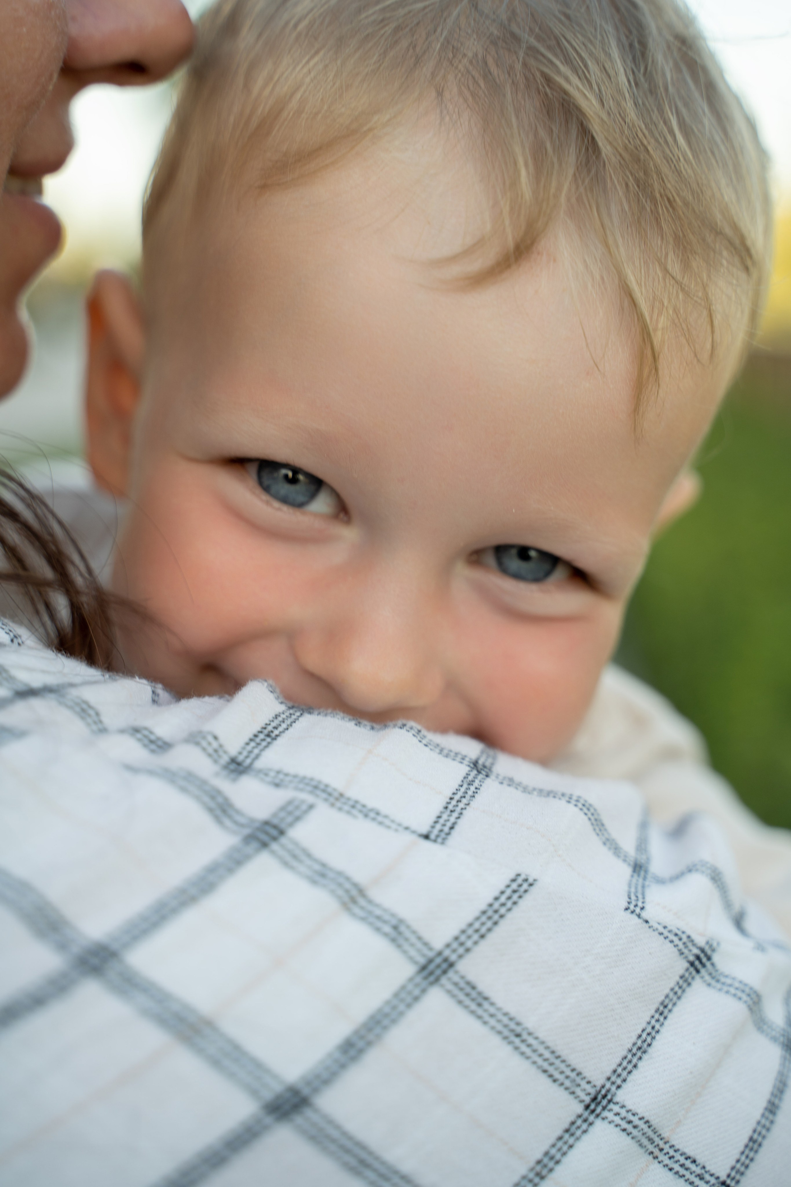 Семейная прогулка. Главная