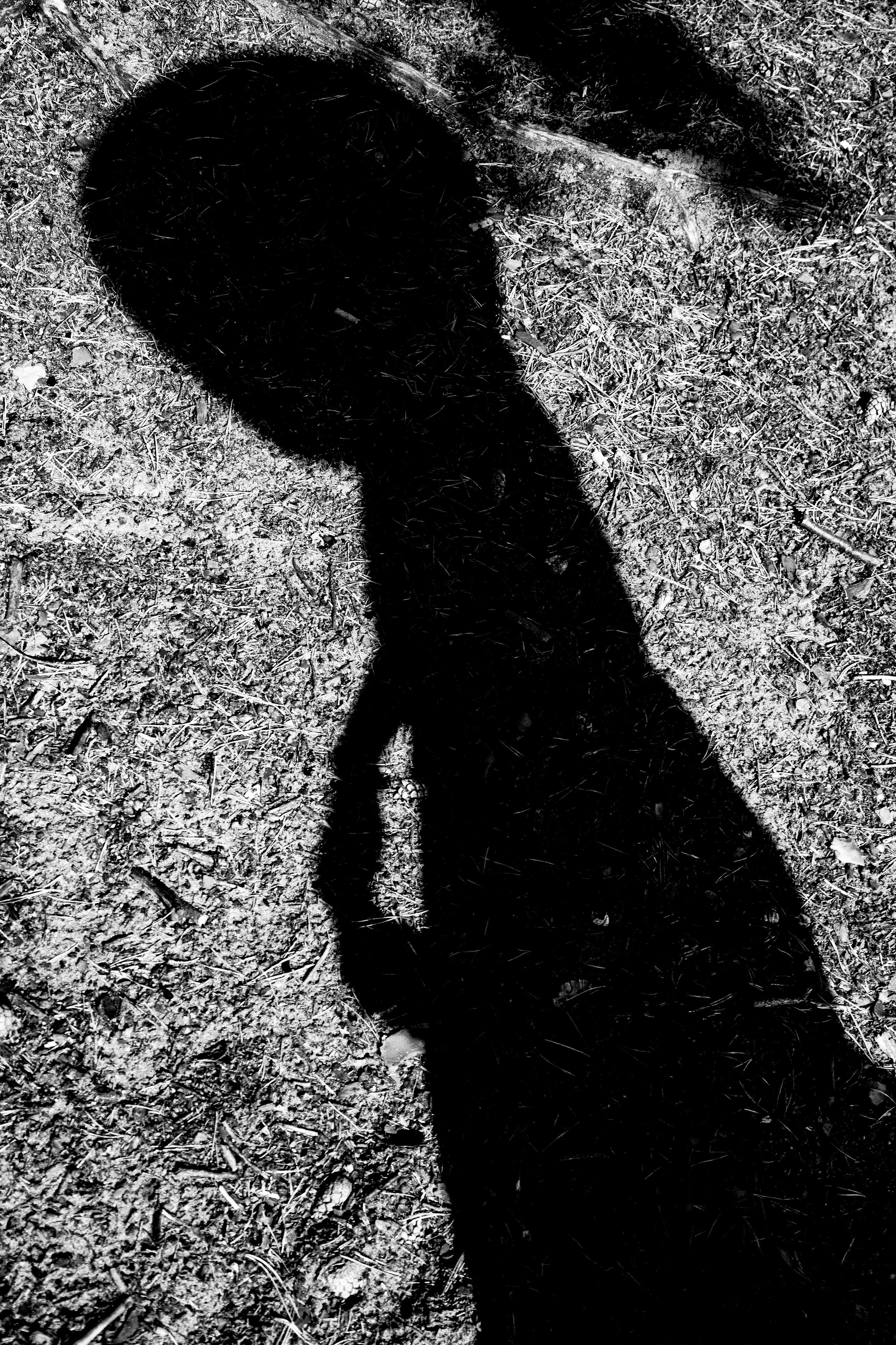 Даша. Черно-белый фотограф Дмитрий Пчелкин