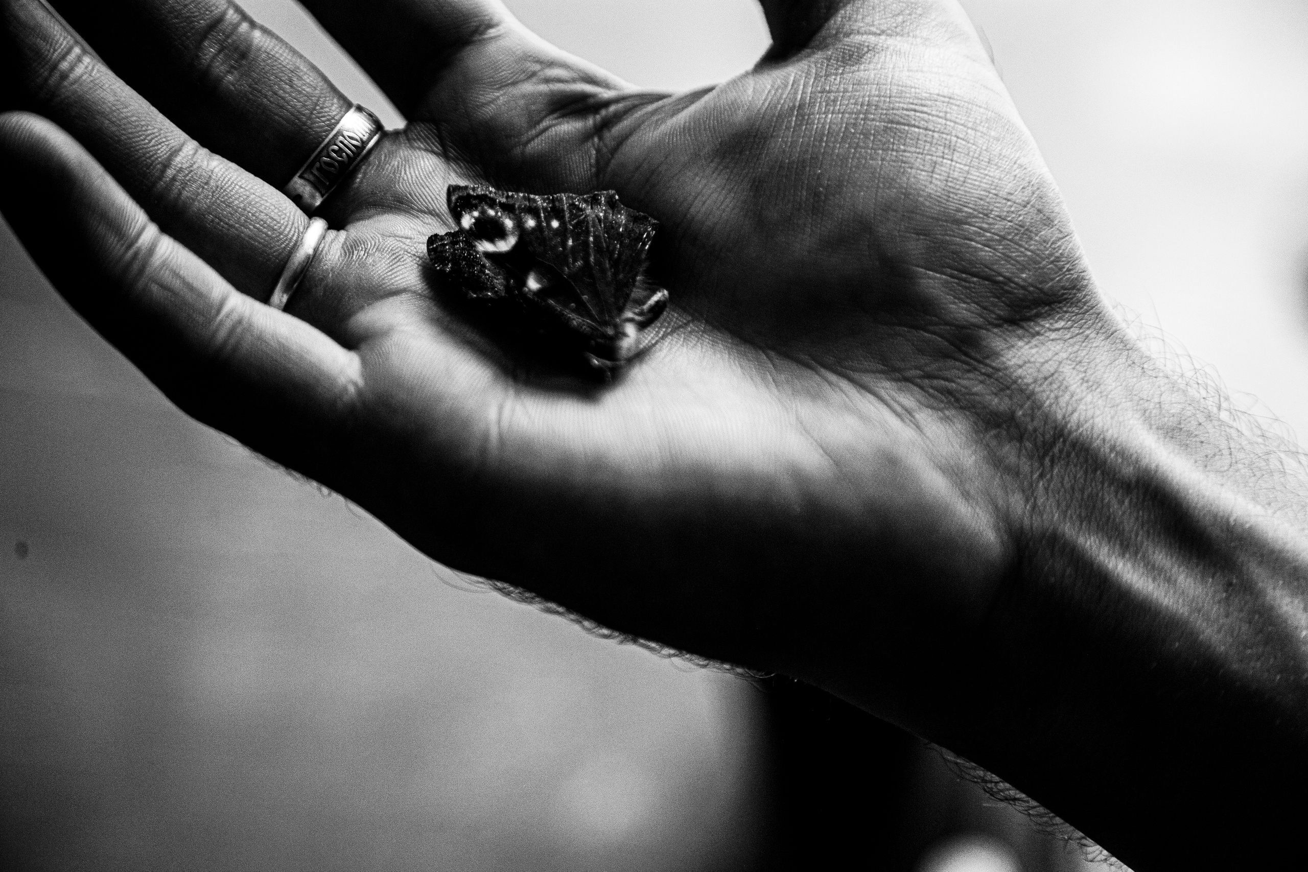 Коля. Черно-белый фотограф Дмитрий Пчелкин