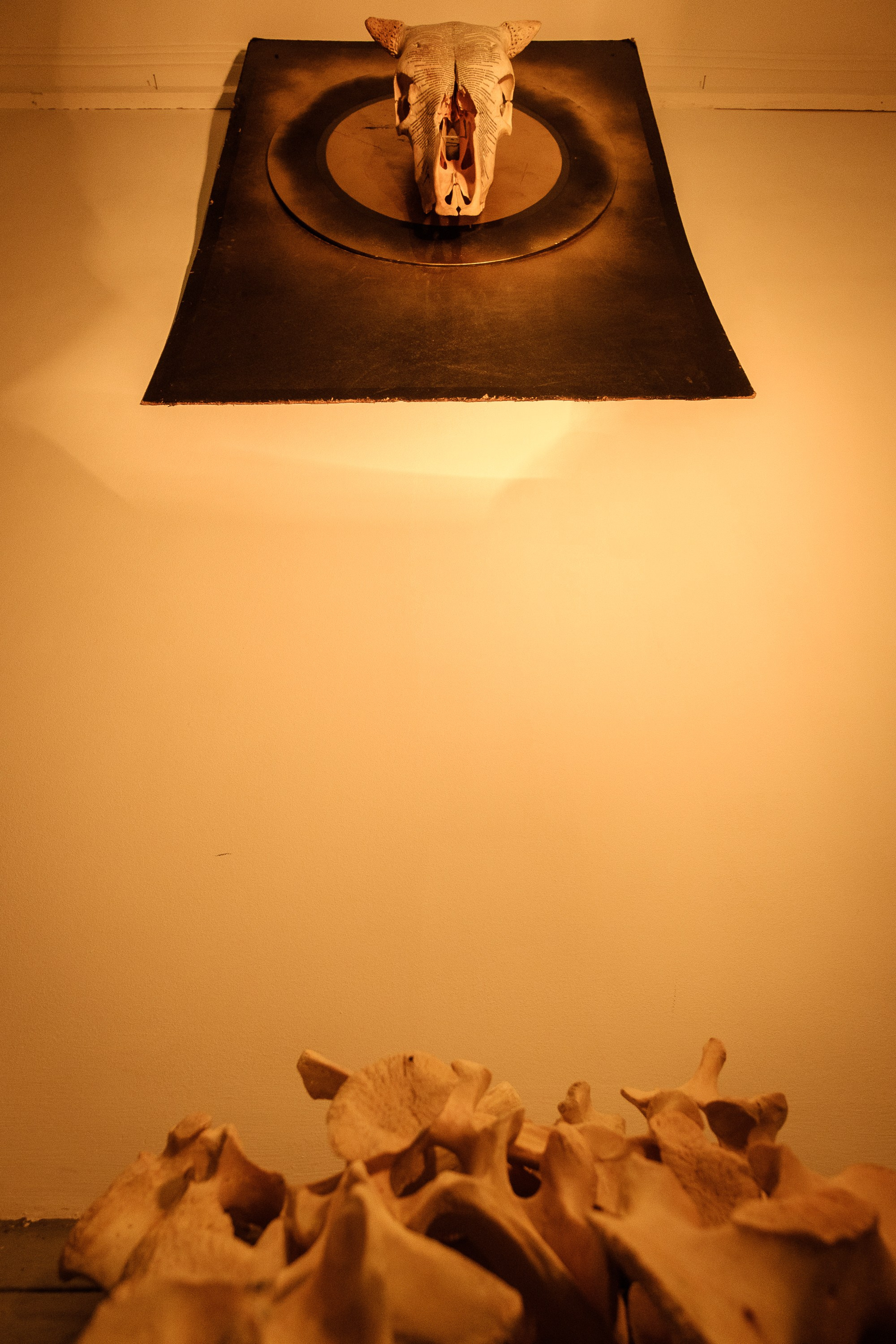 The Sacred Cow is dead for a long time. Alexandr Staub Multidisciplinary artist