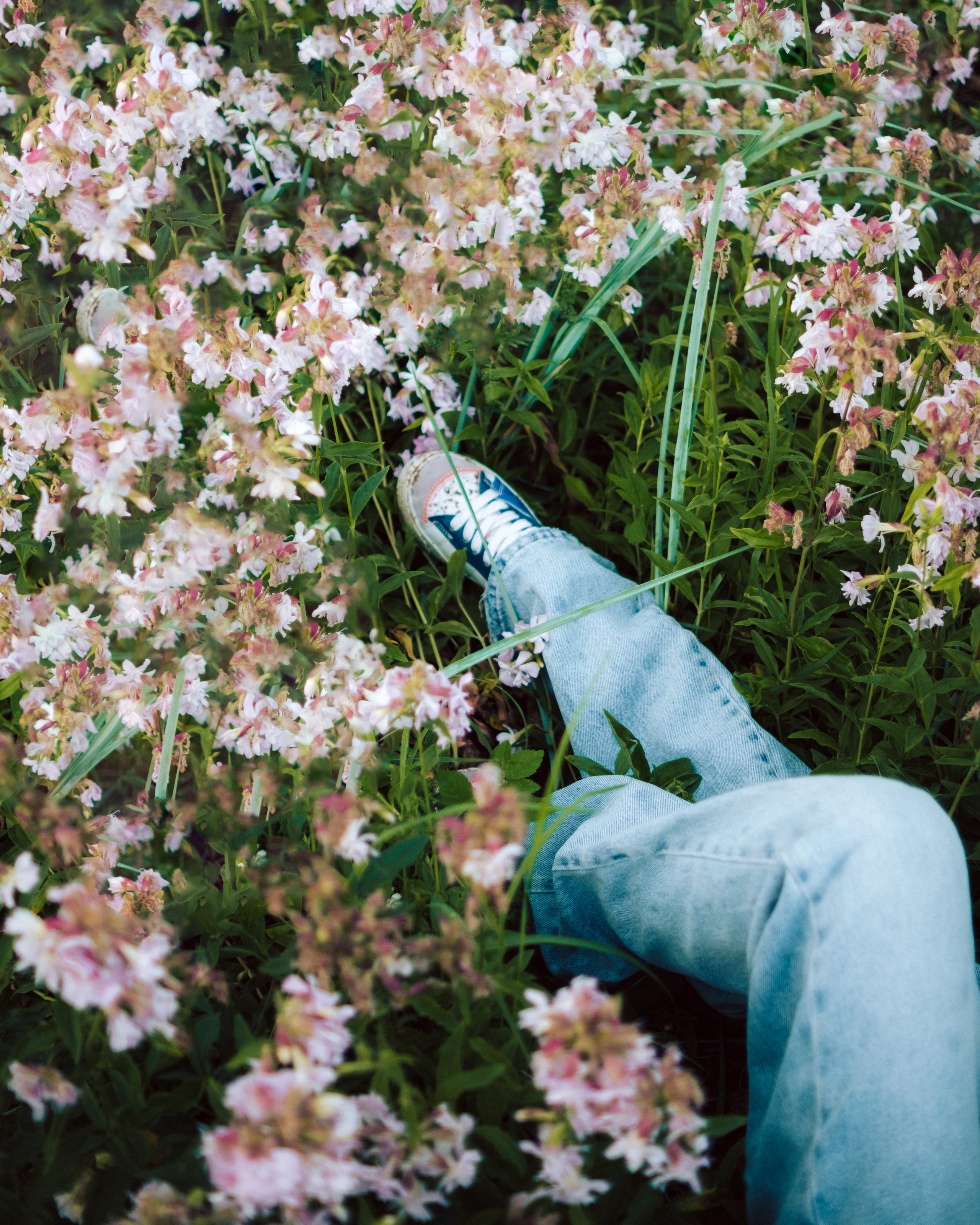 Луиза. Съёмка на заливе. Lickord