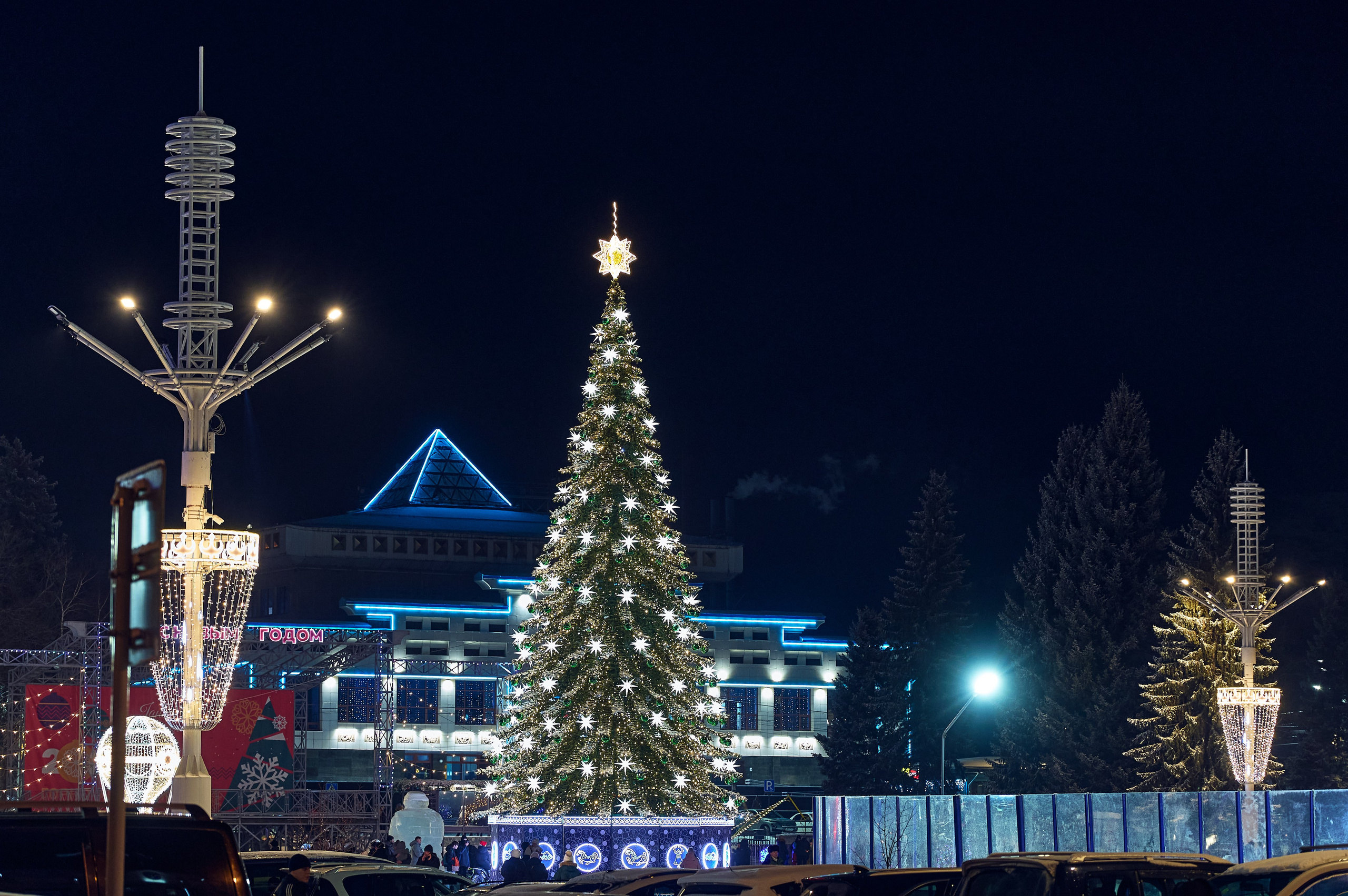 Новогодние украшения. Фотограф Опыт Качество Скорость Горный Алтай Барнаул