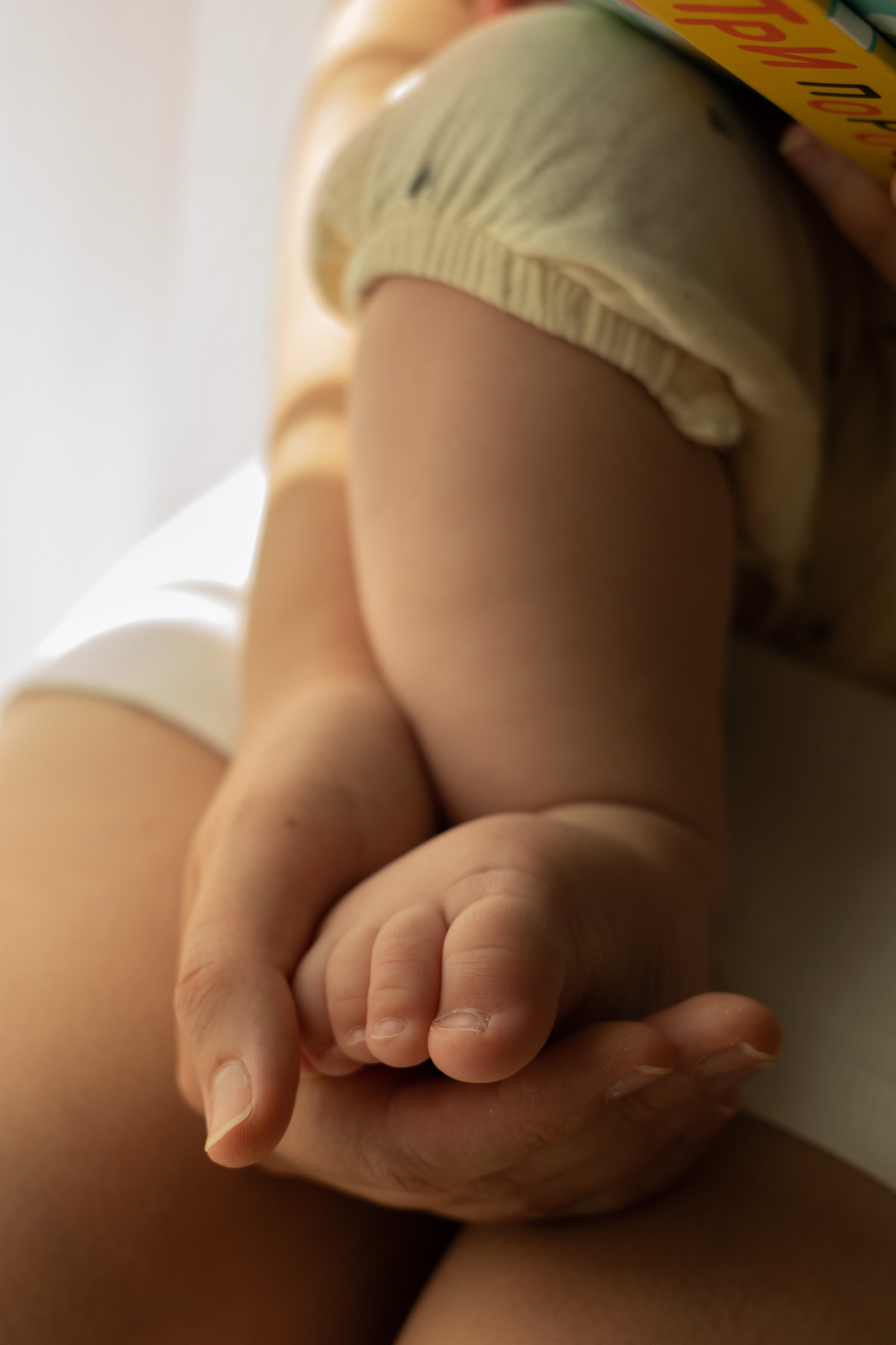 Лёве 8 месяцев. Фотограф видеограф Ольга Василевская