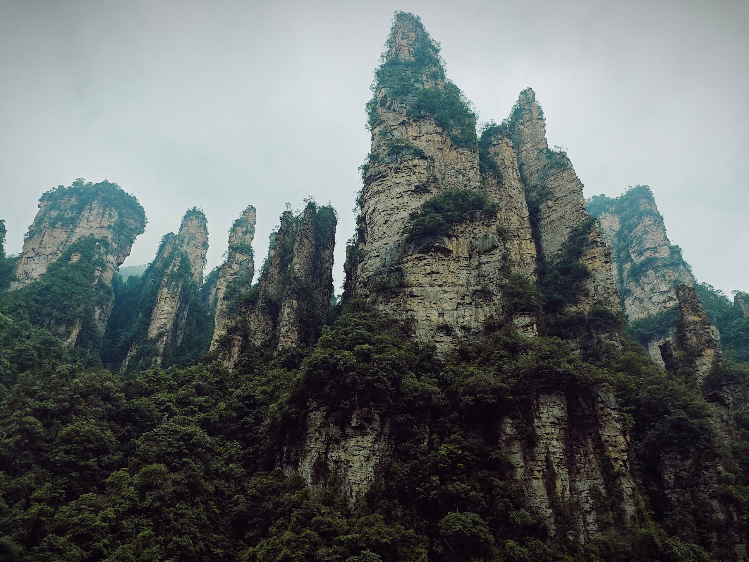 The Great Journey to China. Brjankin.com