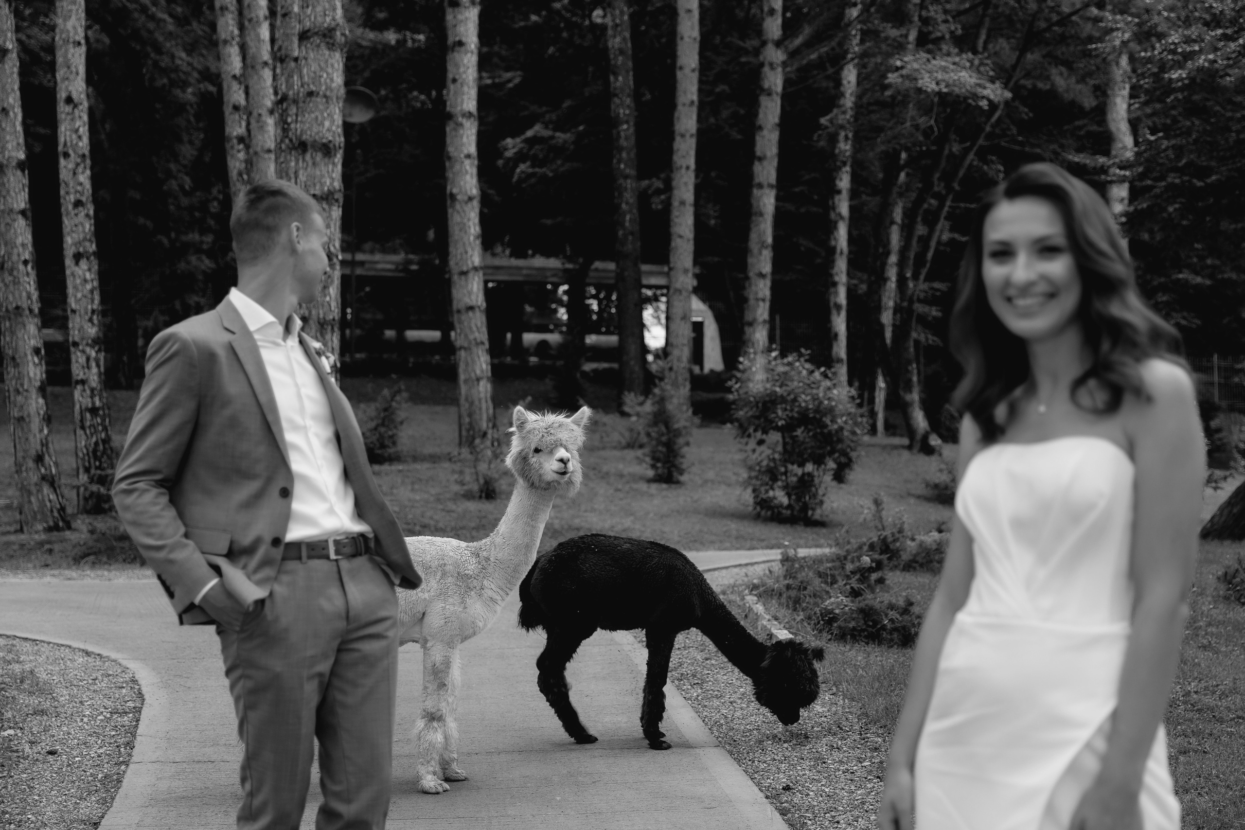 Dima & Lera. Anastasiya Krasnyuk