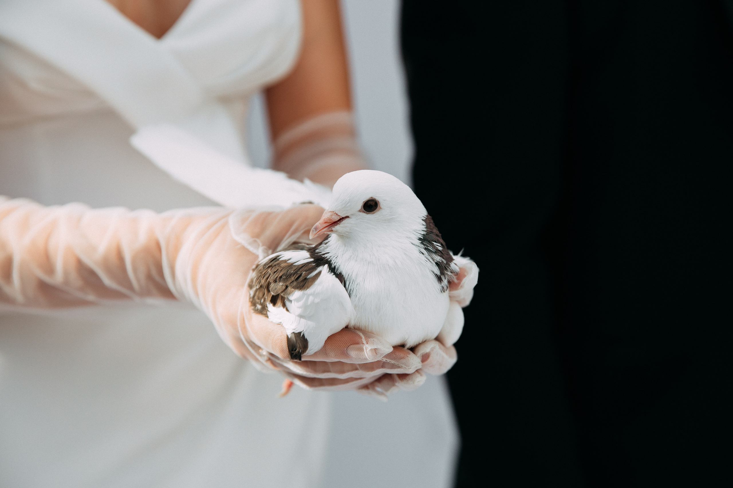 Игорь и Кристина (2022). Romanovs | Свадебный фотограф и видеограф Чебоксары Казань Москва