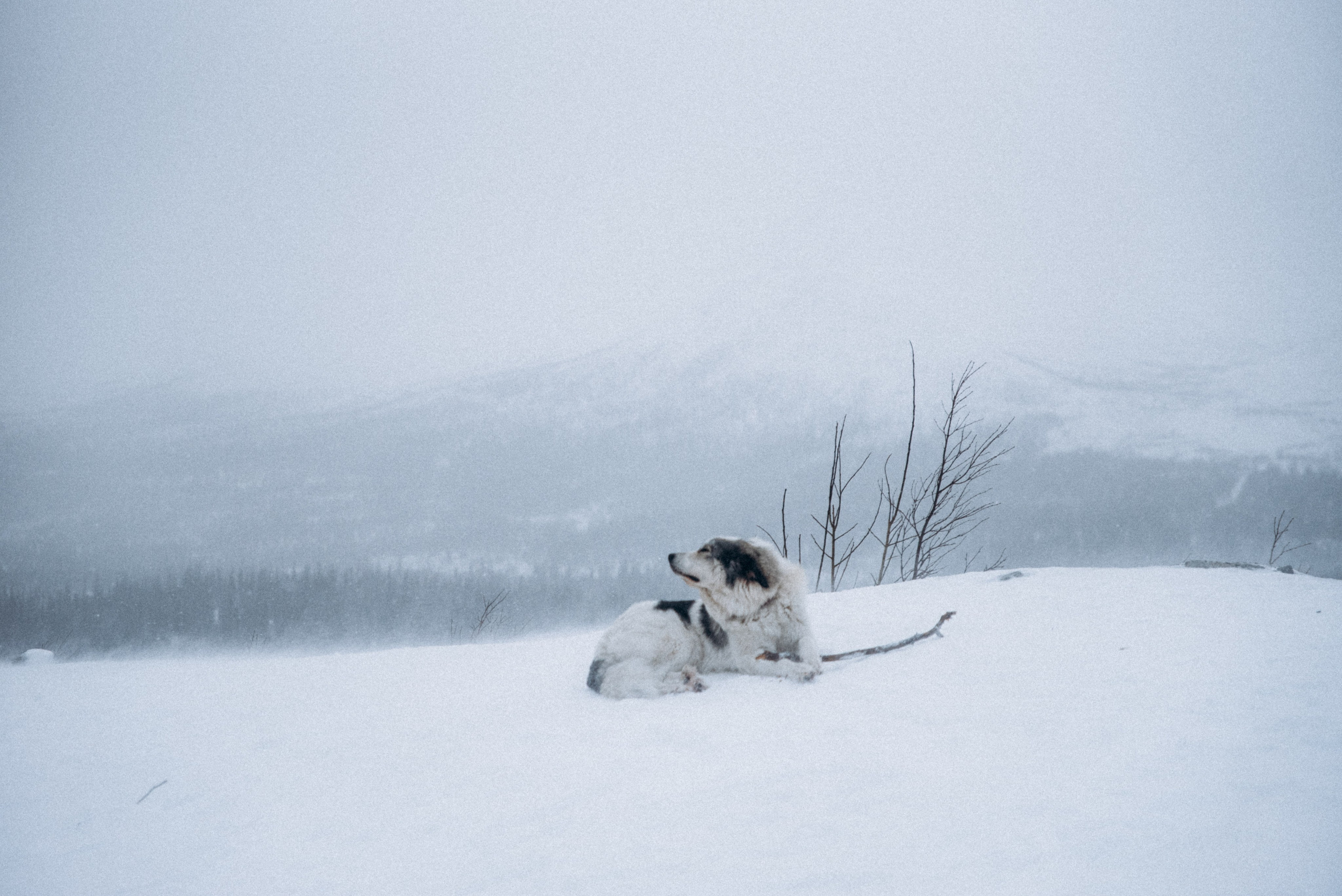 Териберка, Мурманск, Россия 🇷🇺. Anita_photo