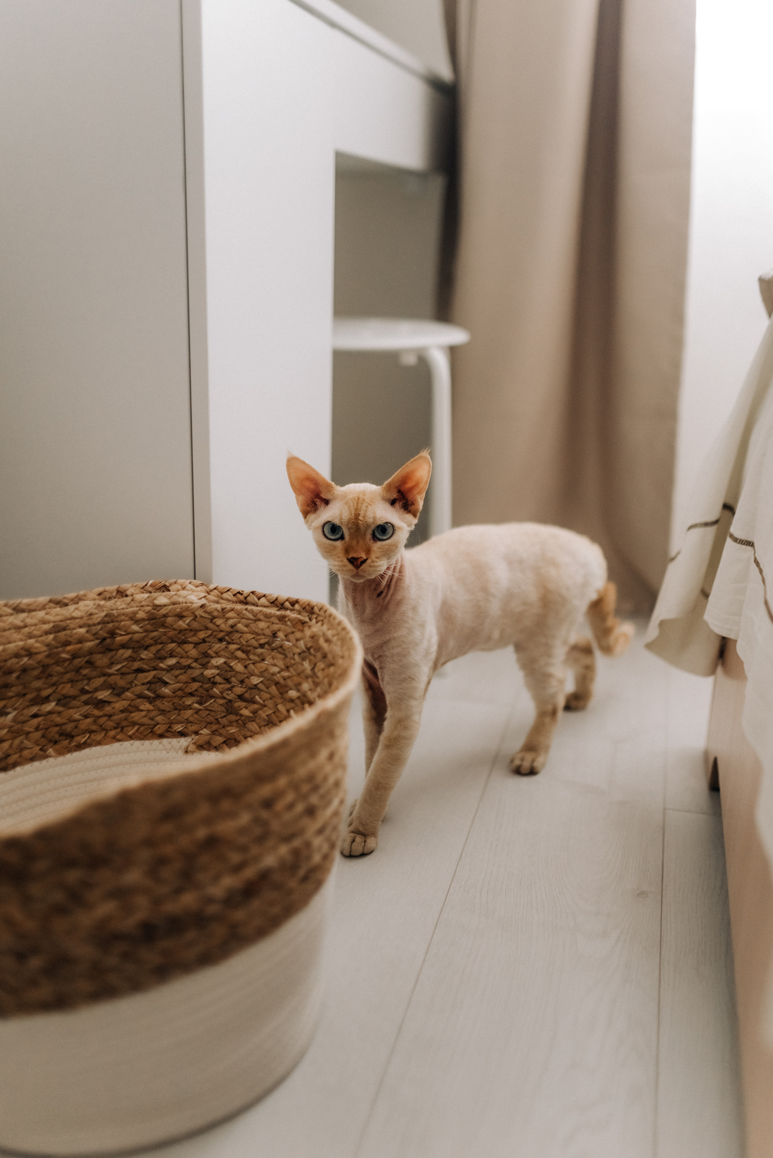 Аня, Женя, Ева. Семейный и детский фотограф Анастасия Иванова