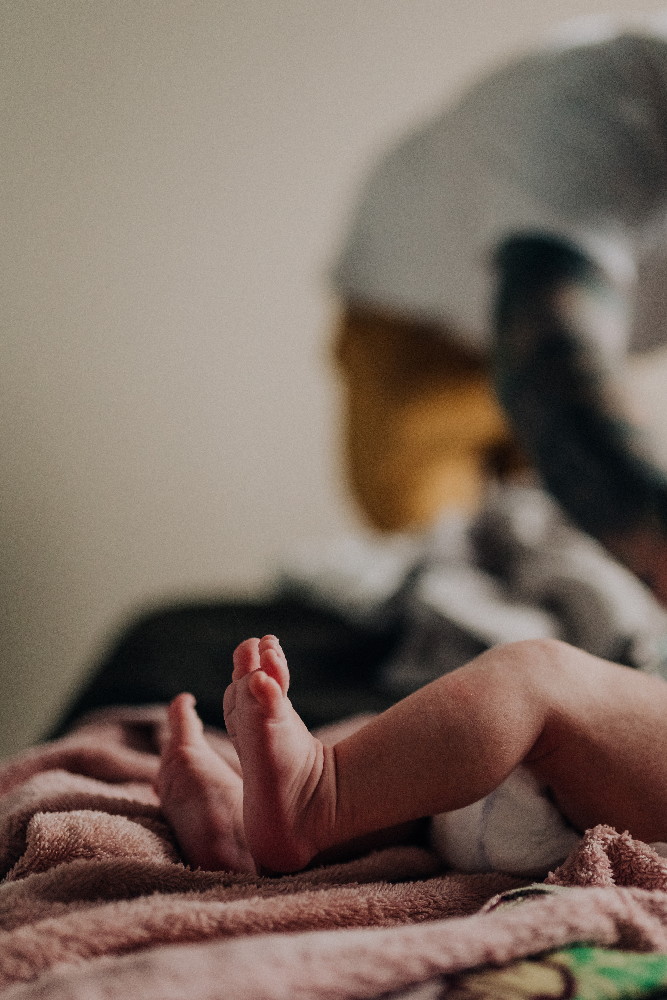 Гуля, Тарас, Саймон. Семейный и детский фотограф Анастасия Иванова