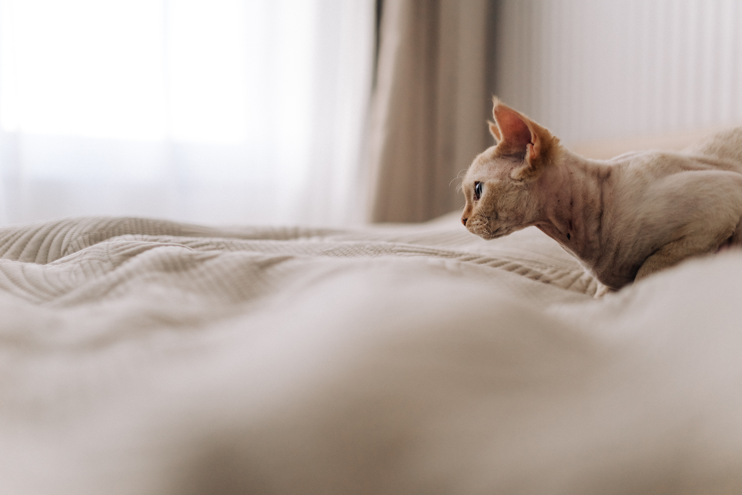 Аня, Женя, Ева. Семейный и детский фотограф Анастасия Иванова