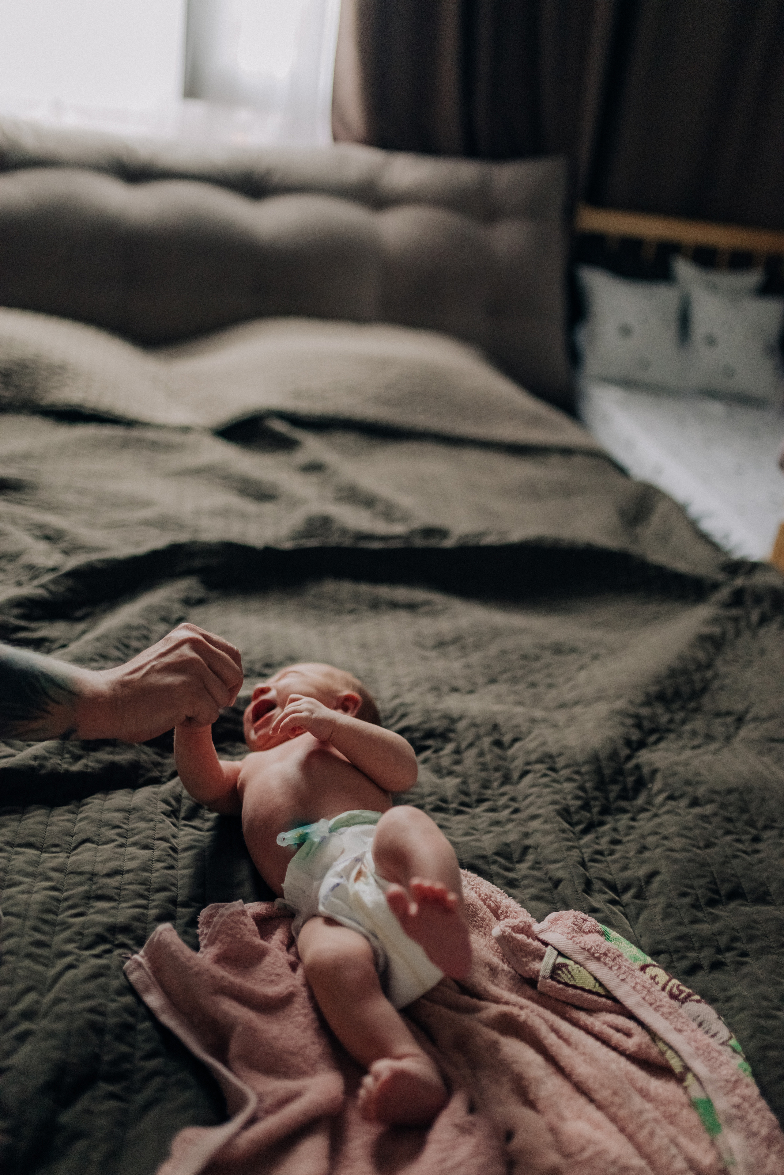 Гуля, Тарас, Саймон. Семейный и детский фотограф Анастасия Иванова