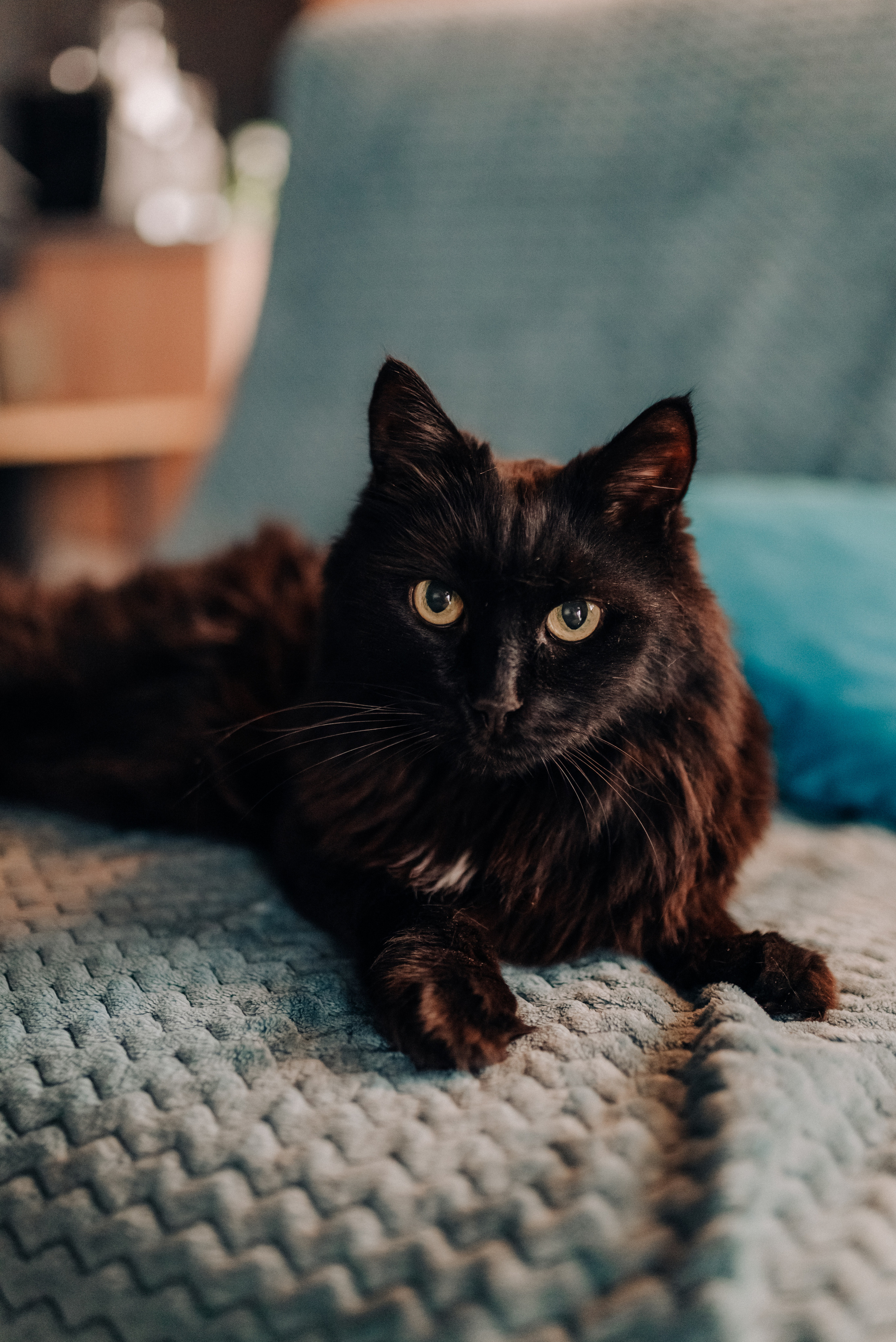 Гуля, Тарас, Саймон. Семейный и детский фотограф Анастасия Иванова