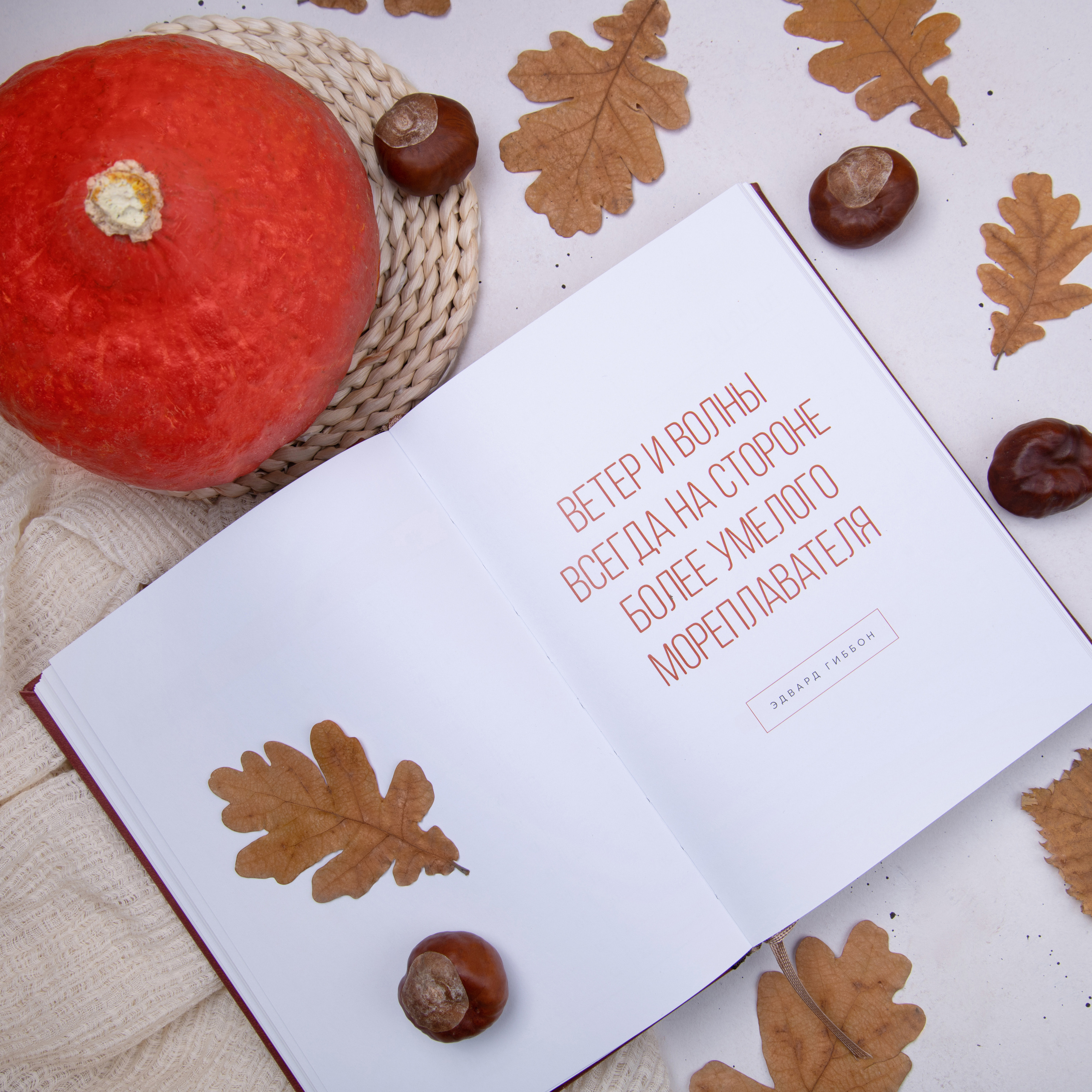 Фотосъемка канцелярских принадлежностей, ежедневников. Фотограф в Москве и области Синенкова Екатерина