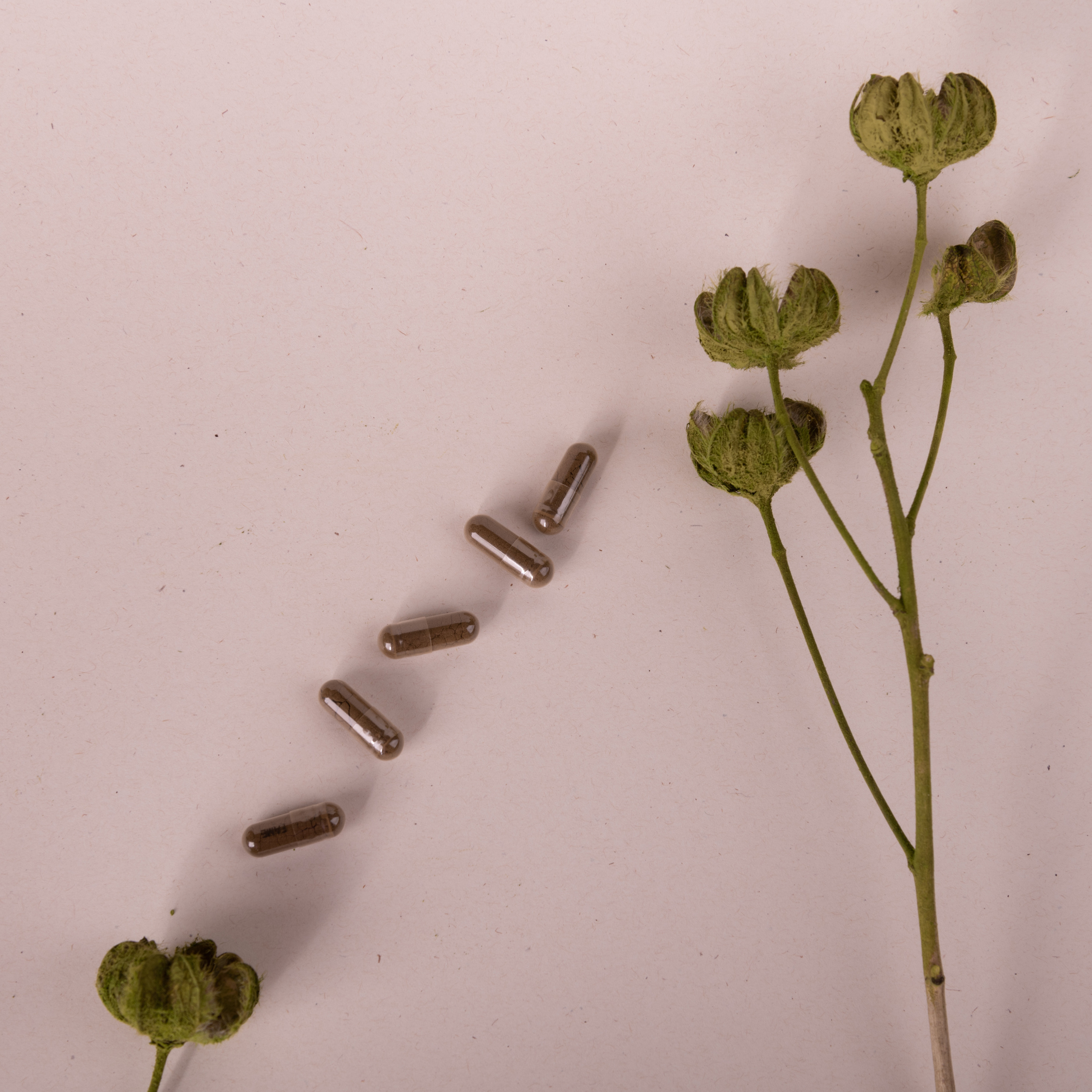 Фотосъемка витаминов и БАДов. Фотограф в Москве и области Синенкова Екатерина