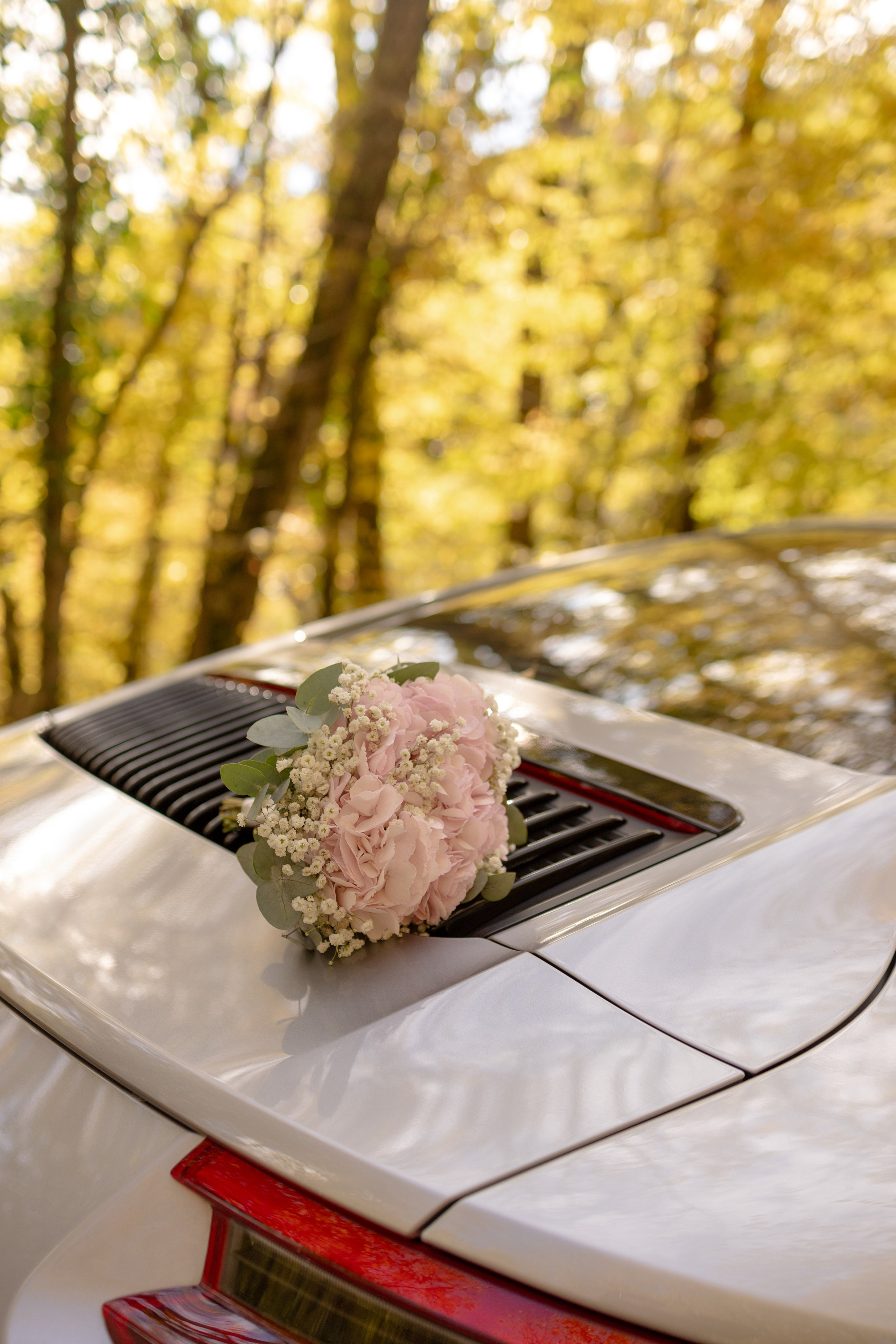 Свадьба осенью. Семейный и портретный фотограф в Геленджике Любовь Бодрова