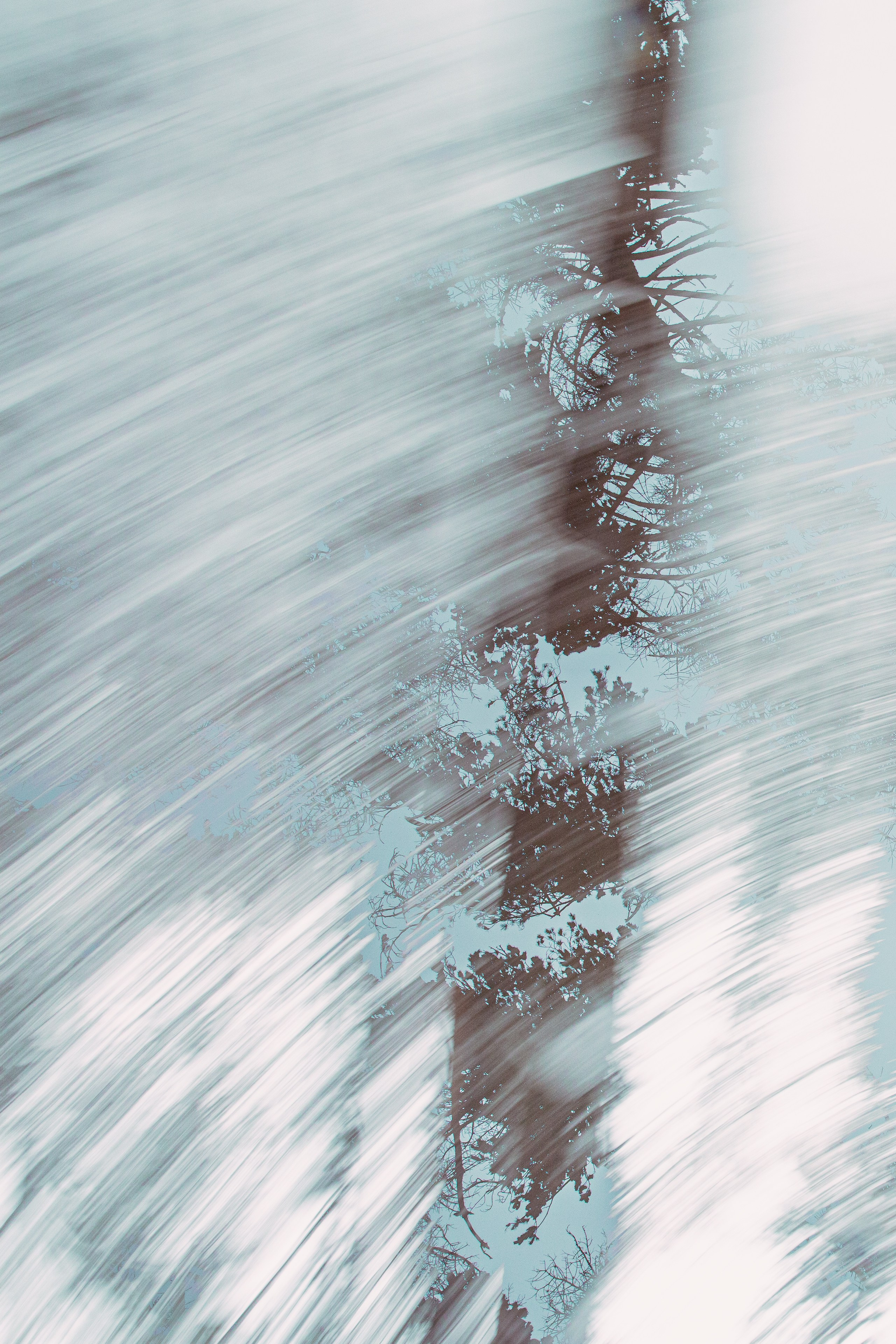 ИГГДРАСИЛЬ, 2025-2026. АННА ВЕРСО / ANNA VERSO | Визуальный художник / Visual artist