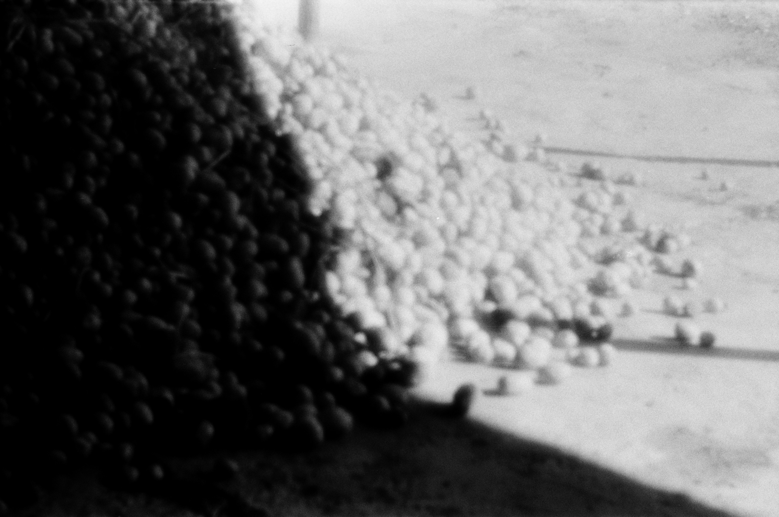 Юля Андрейченко | Отец Сергий. Private image